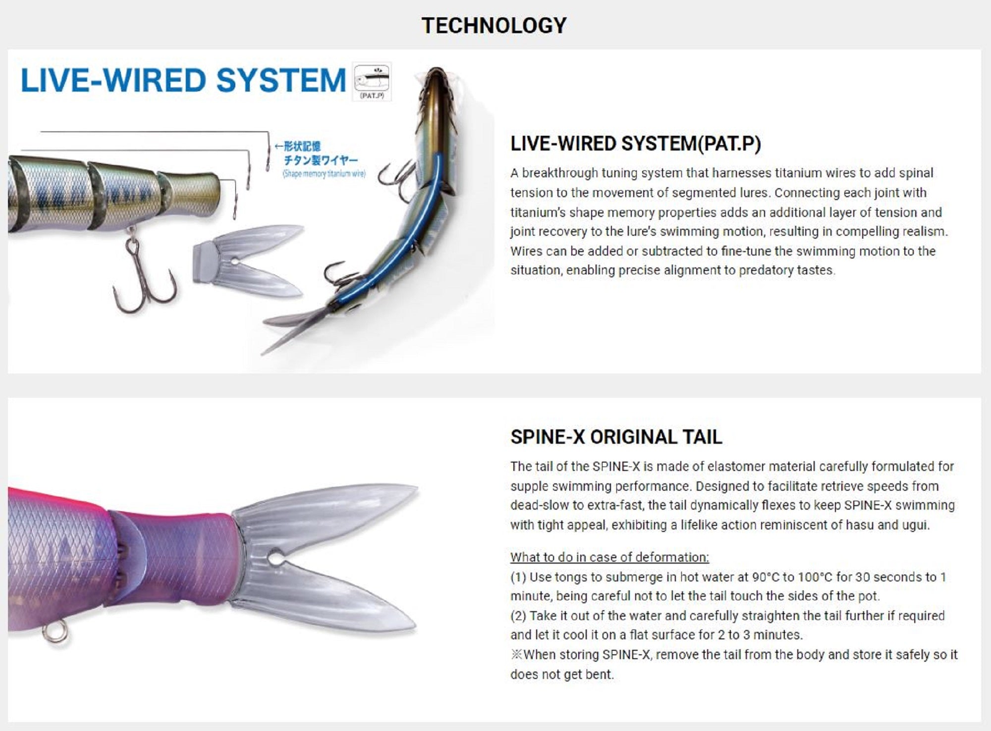 Lure Haven Singapore
