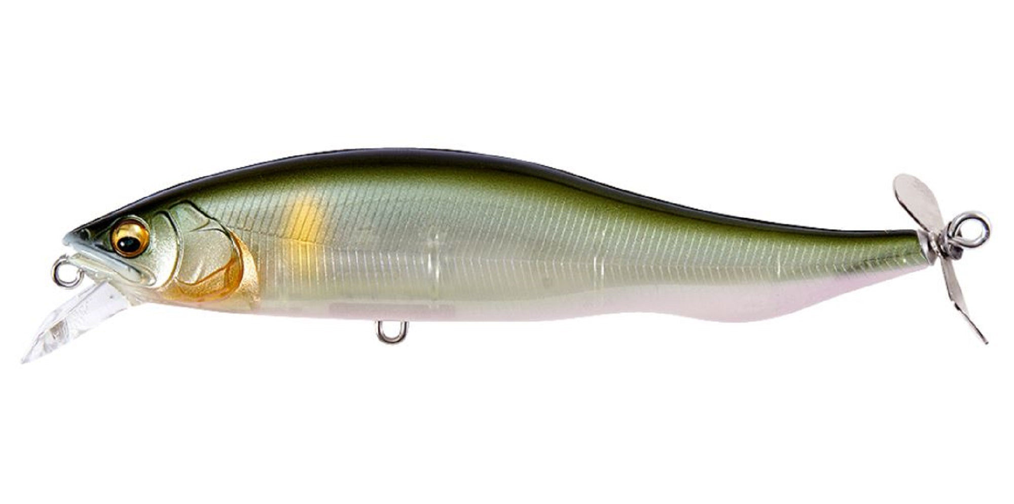 Lure Haven Singapore