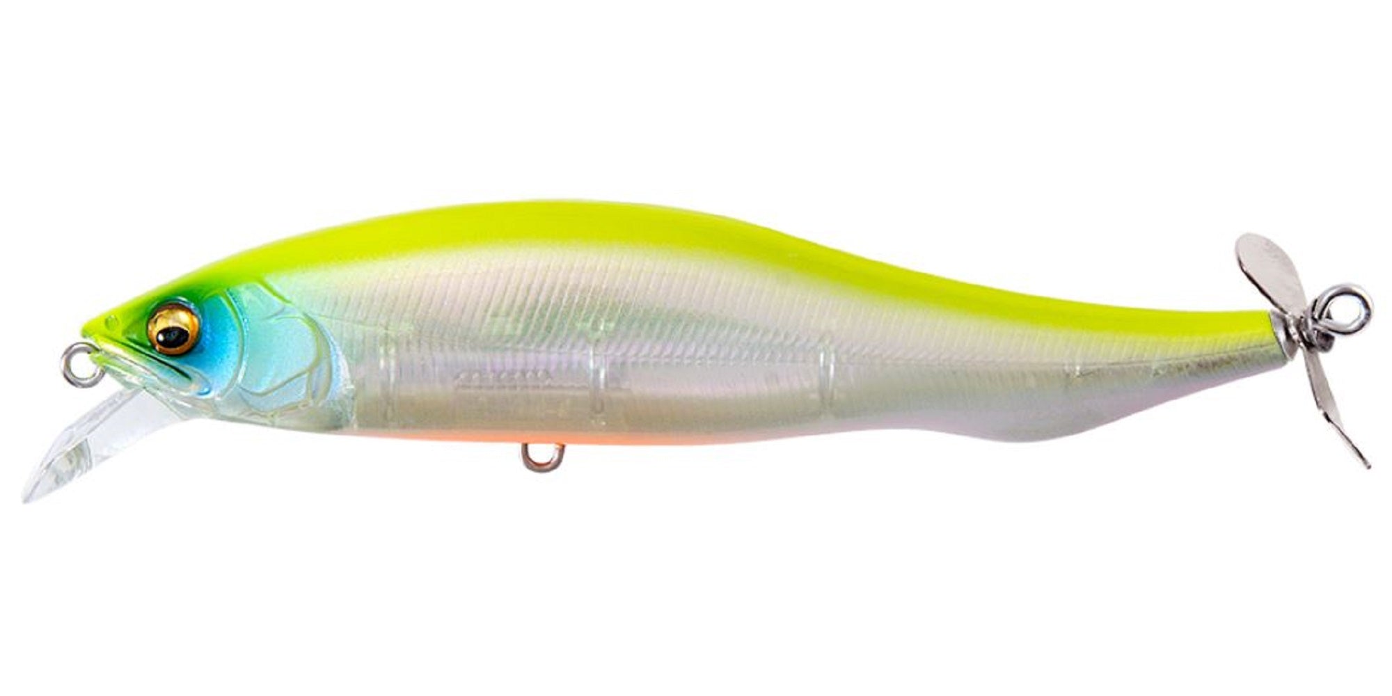 Lure Haven Singapore