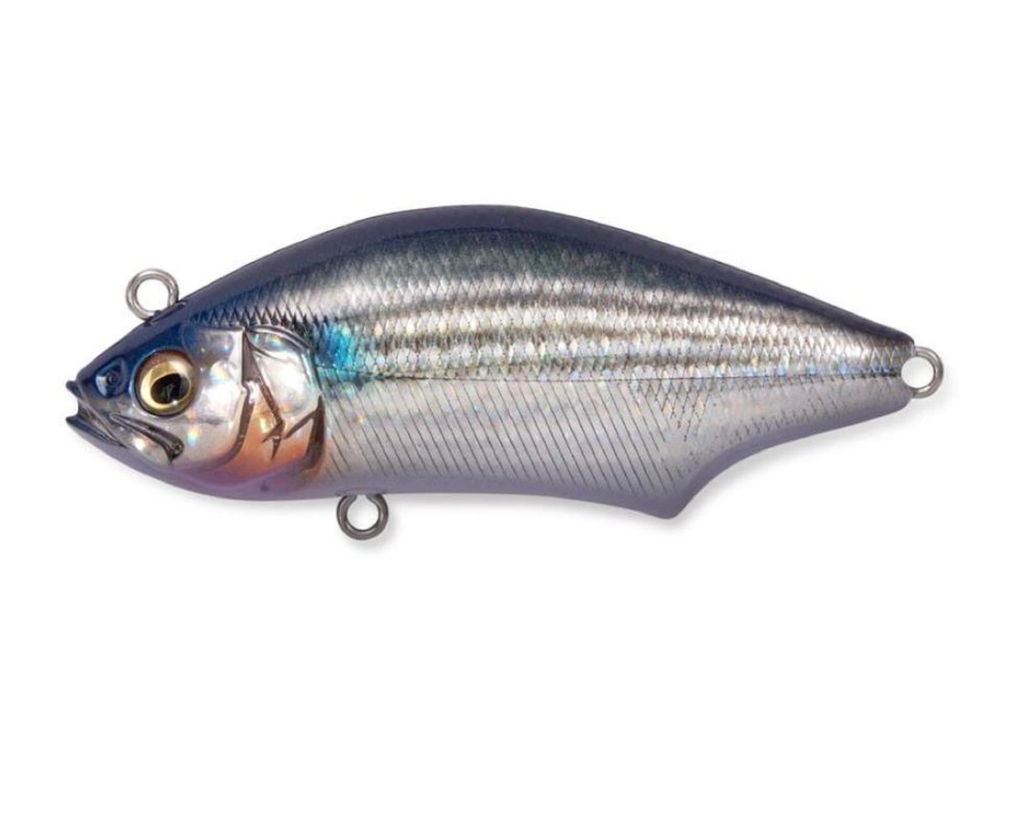 Megabass Hadara Trap 70mm Sinking Lure FA Bora (2496)