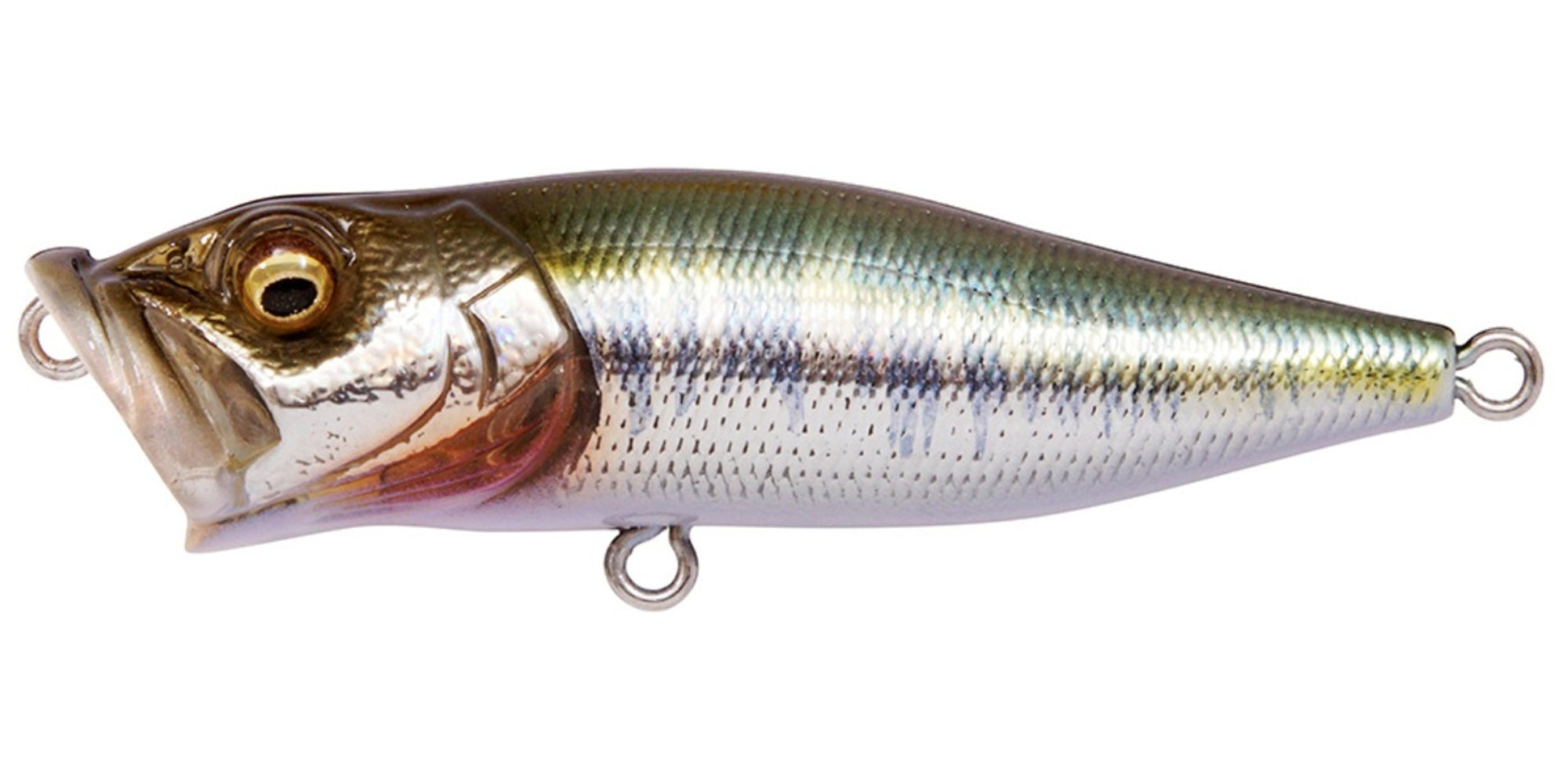 Megabass Pop X Standard 64 mm 7 grams Floating Lure GG Has (9648)