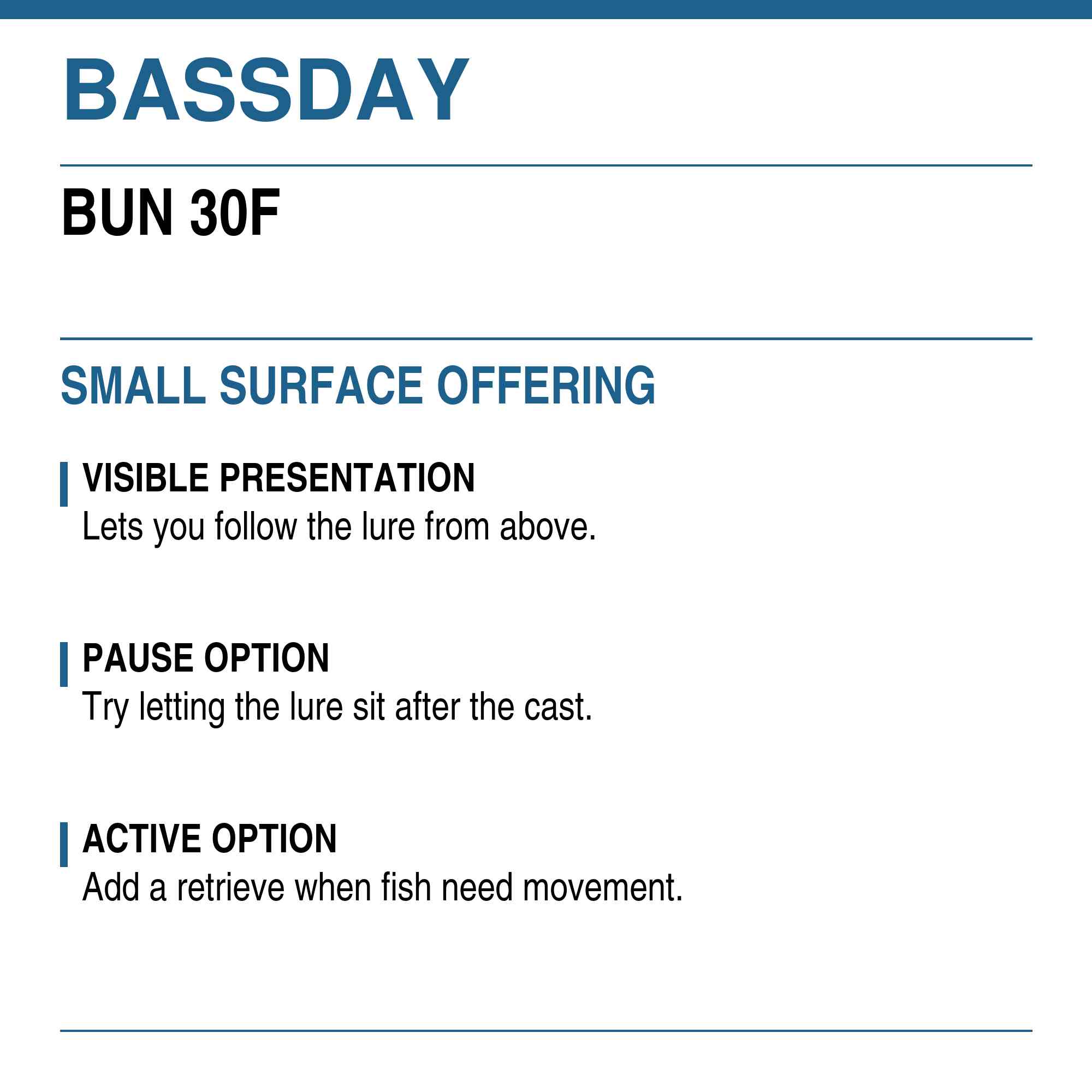 Bassday Beetle Bun 30F Floating Lure 4.5 grams 343 (3396)