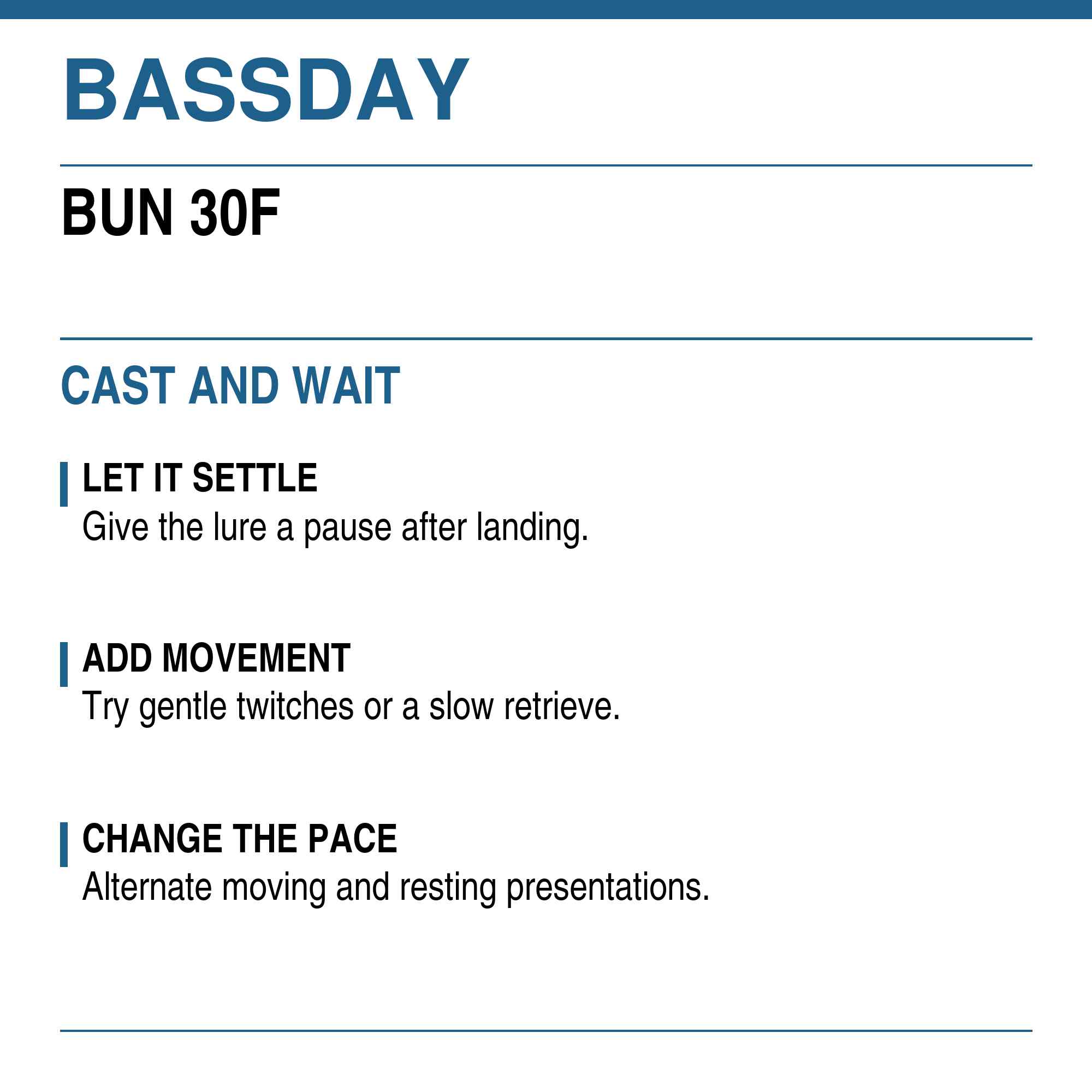 Bassday Beetle Bun 30F Floating Lure 4.5 grams 343 (3396)