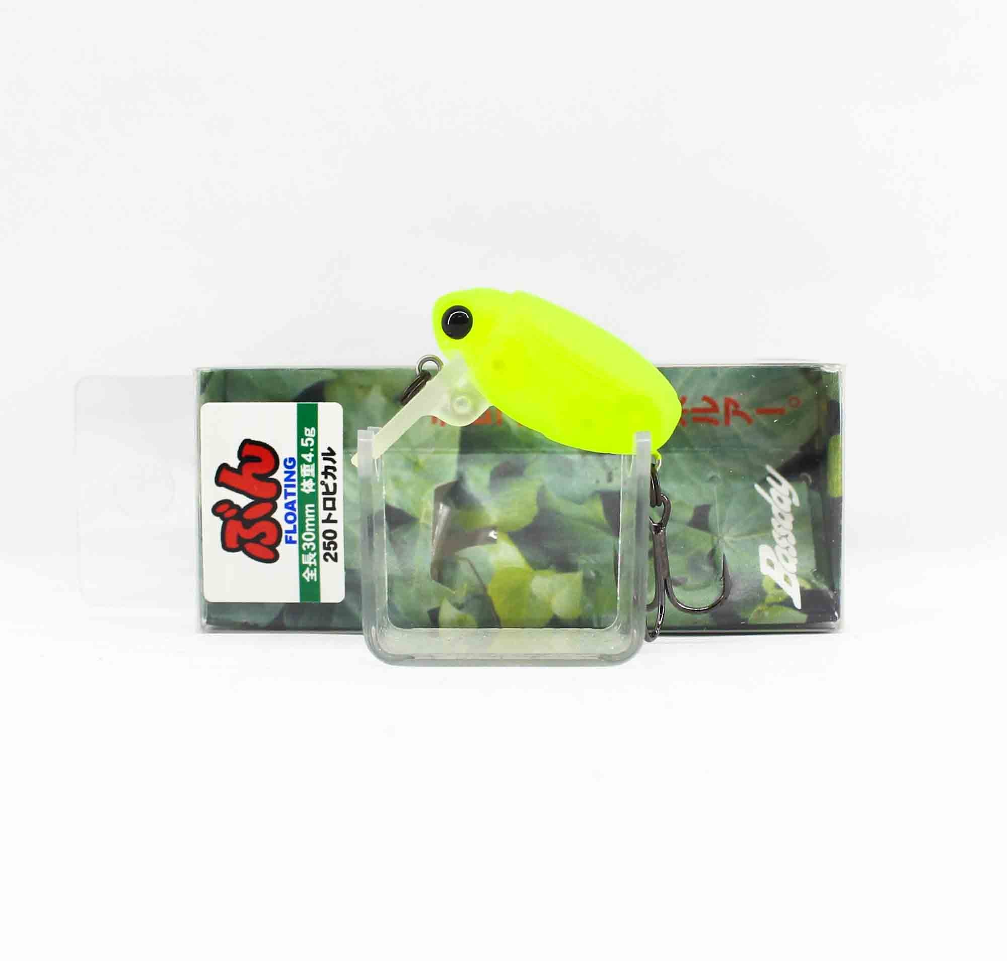 Lure Haven Singapore