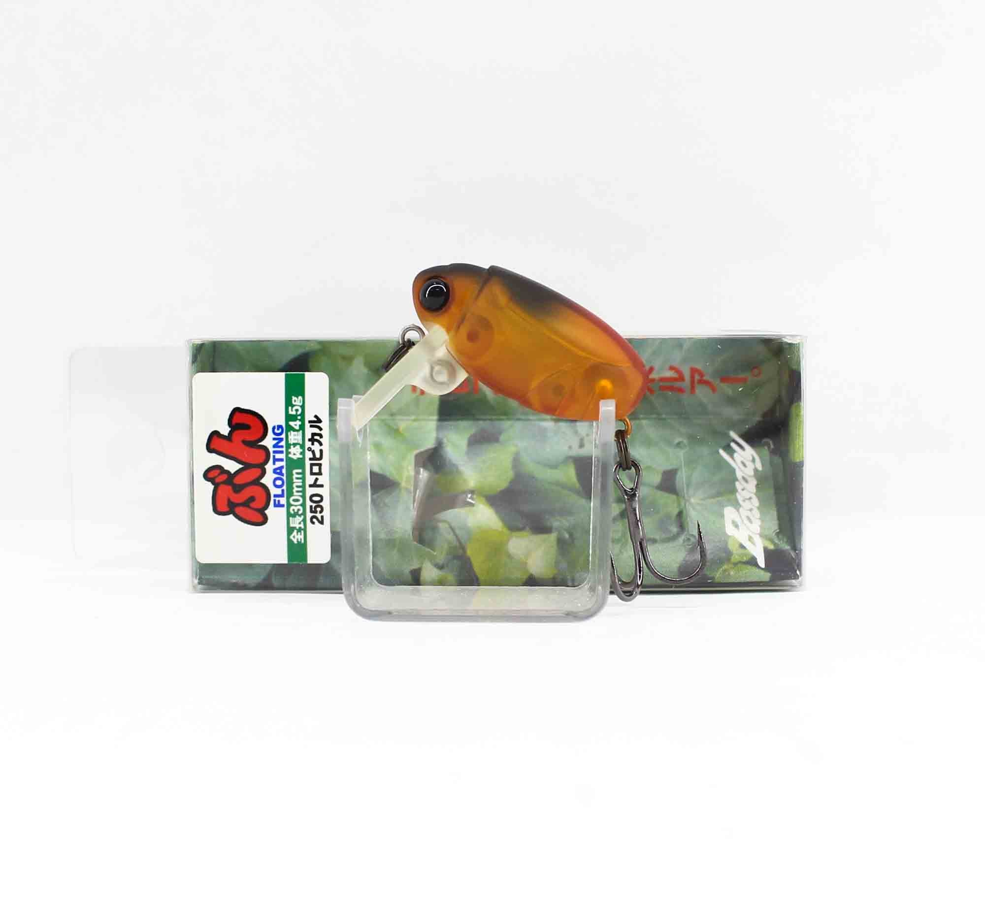 Lure Haven Singapore