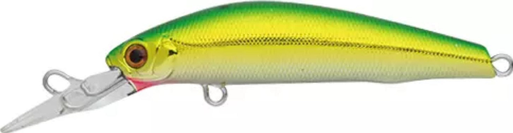 Lure Haven Singapore