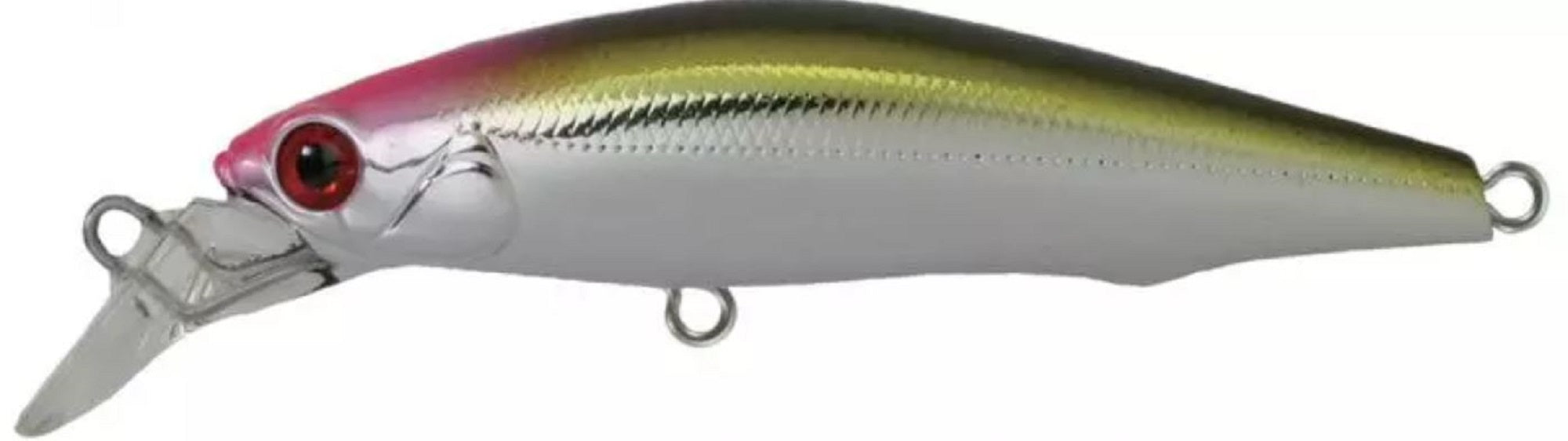 Lure Haven Singapore