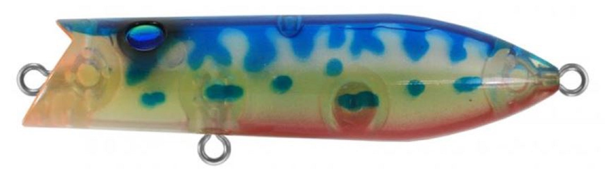 Lure Haven Singapore