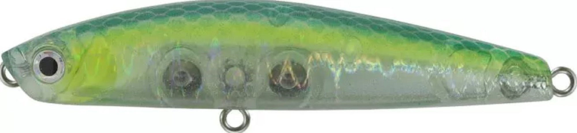 Lure Haven Singapore
