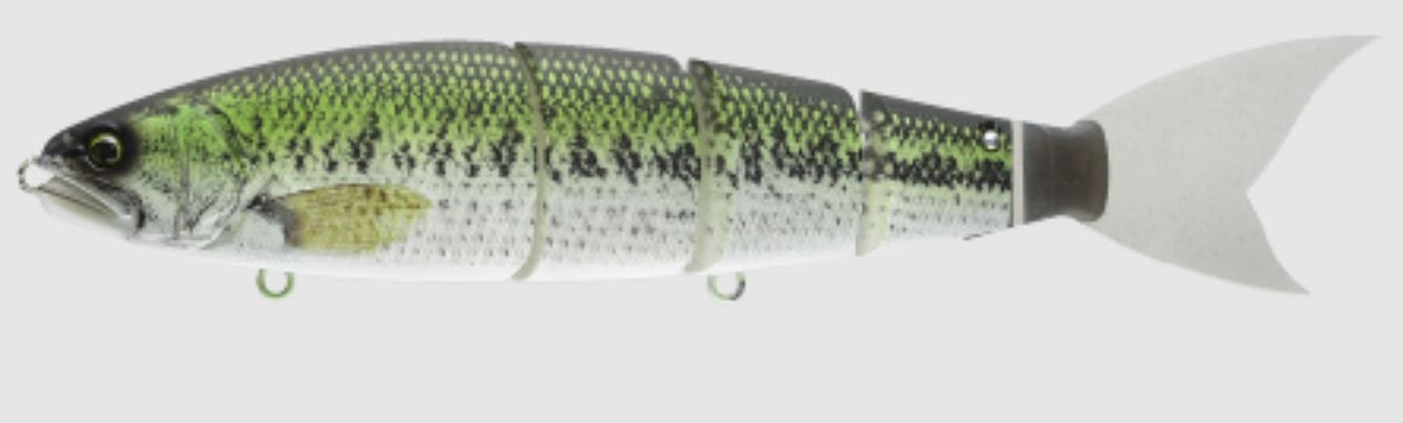 Lure Haven Singapore