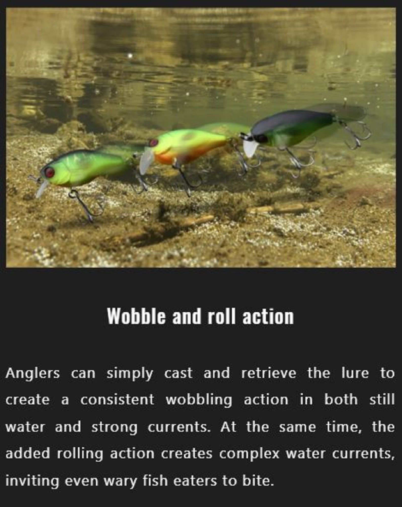 Lure Haven Singapore