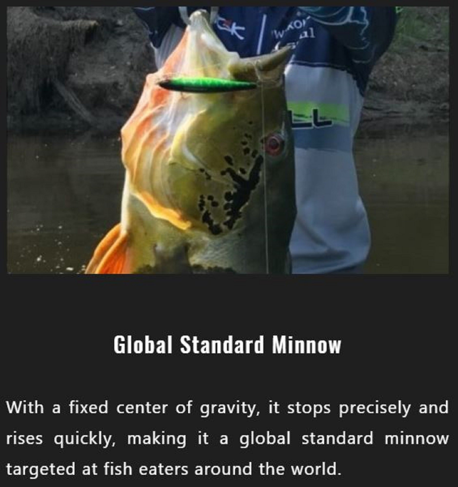 Lure Haven Singapore