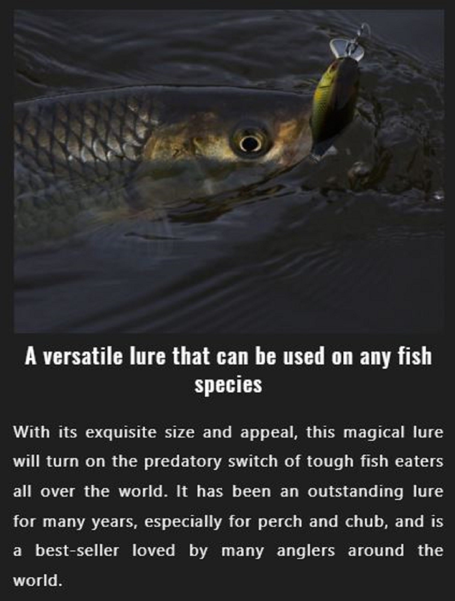 Jackall Chubby 38F Floating Lure Clear Shrimp (5895)