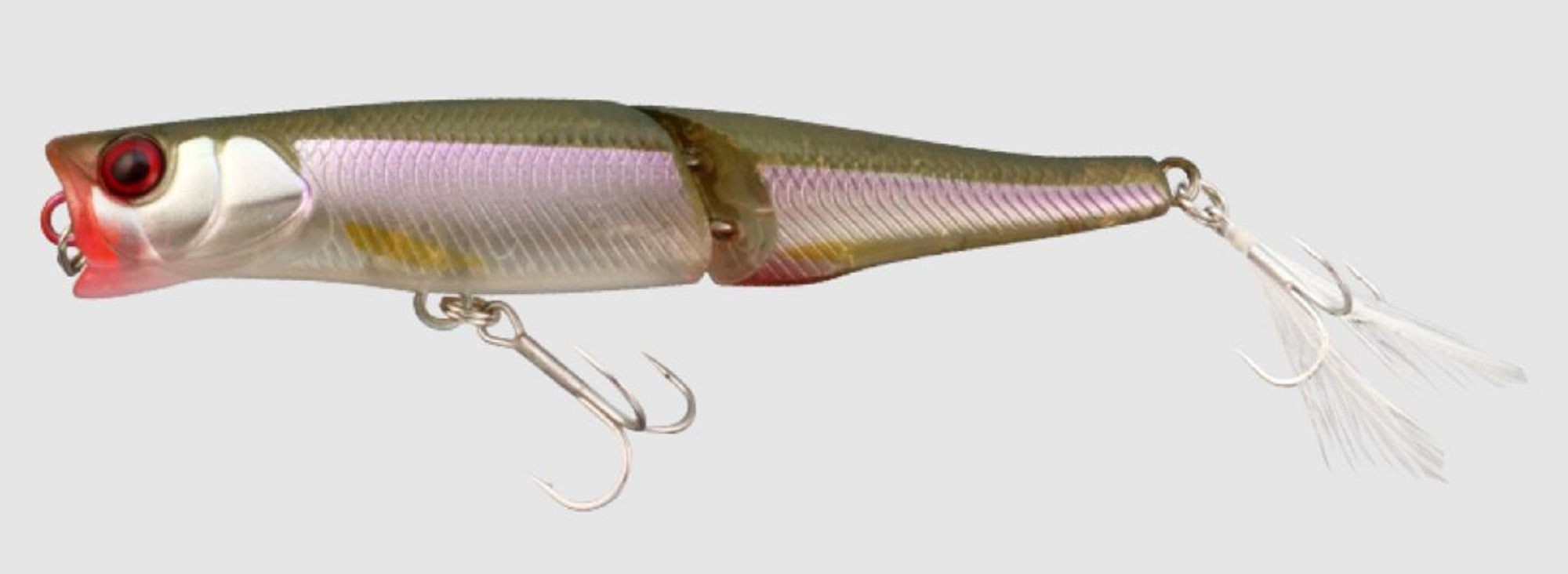 Lure Haven Singapore