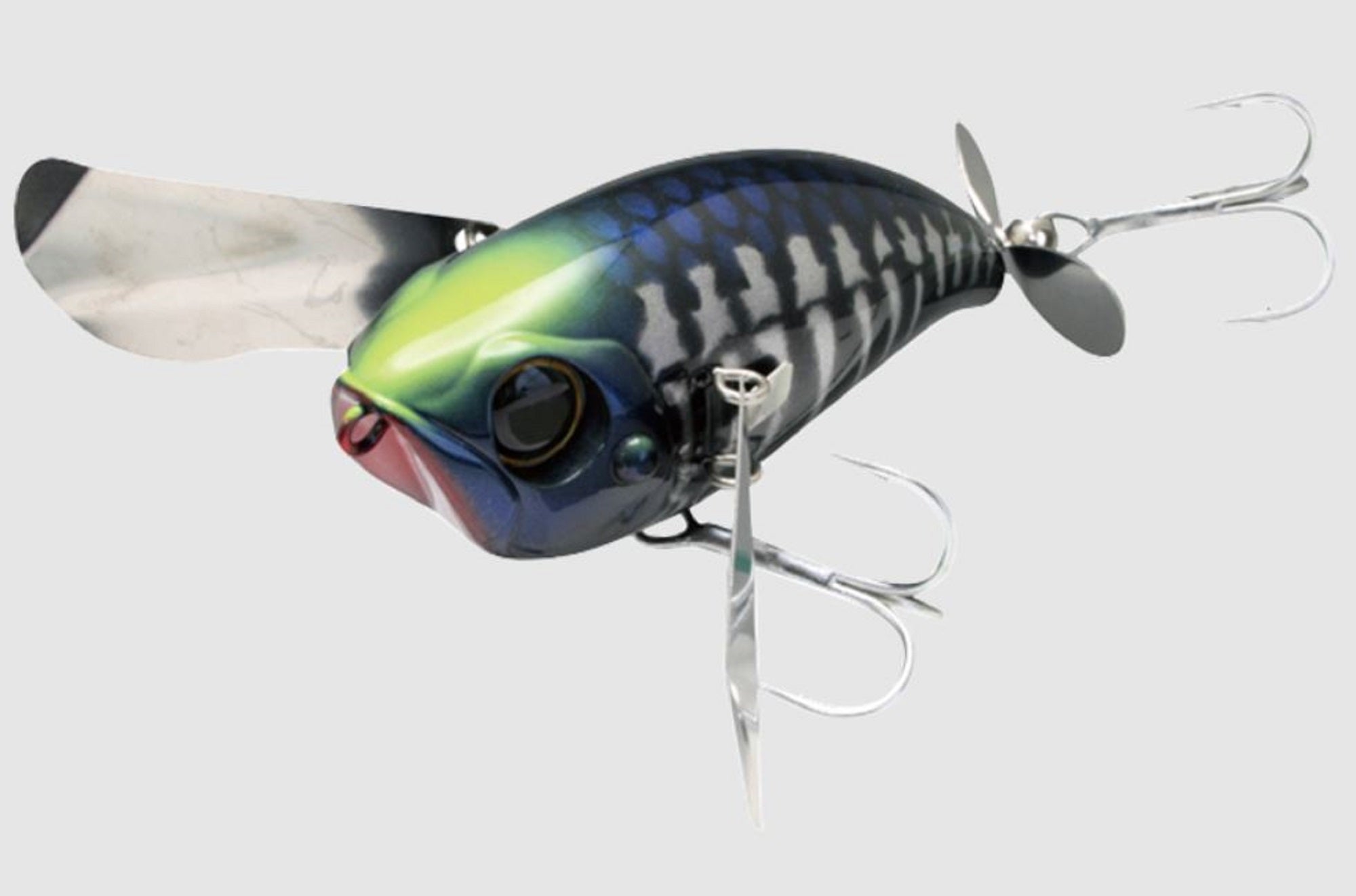 Lure Haven Singapore