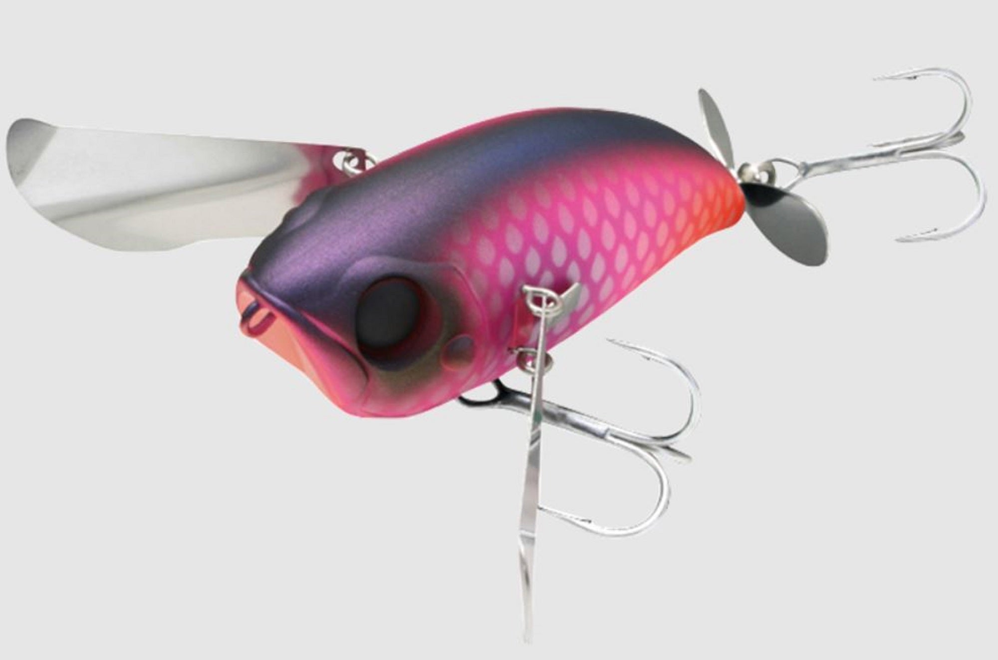 Lure Haven Singapore