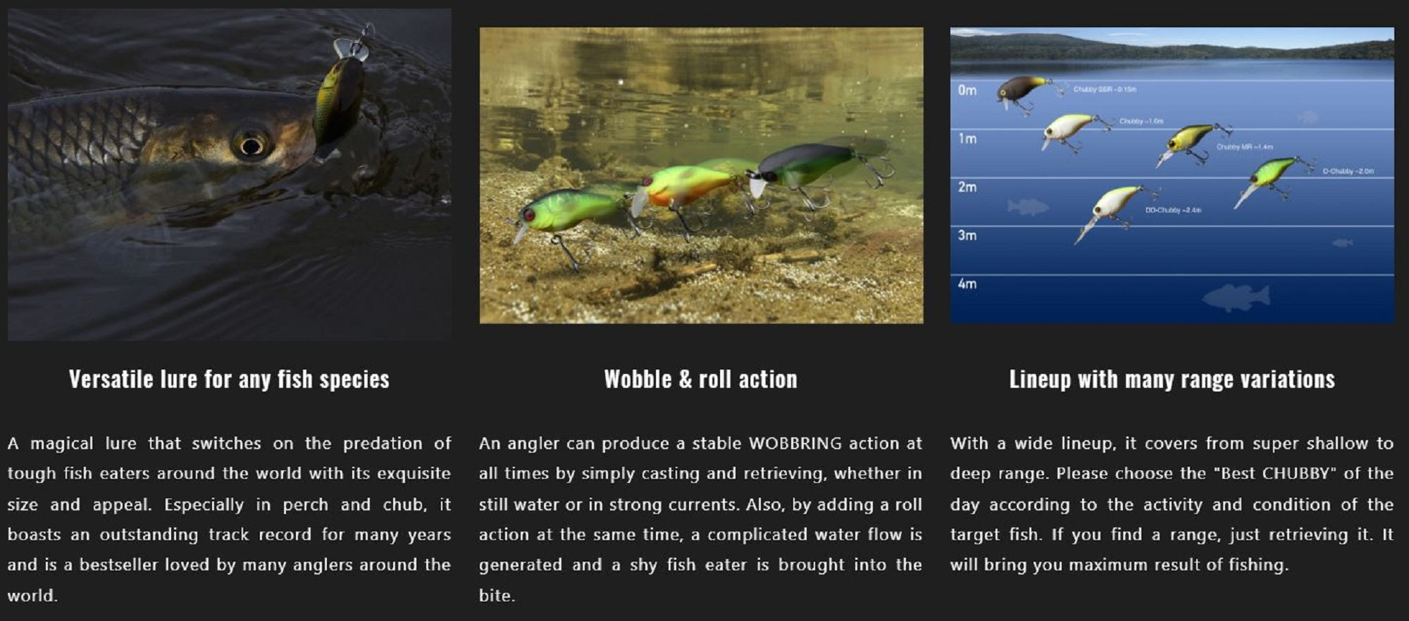 Lure Haven Singapore