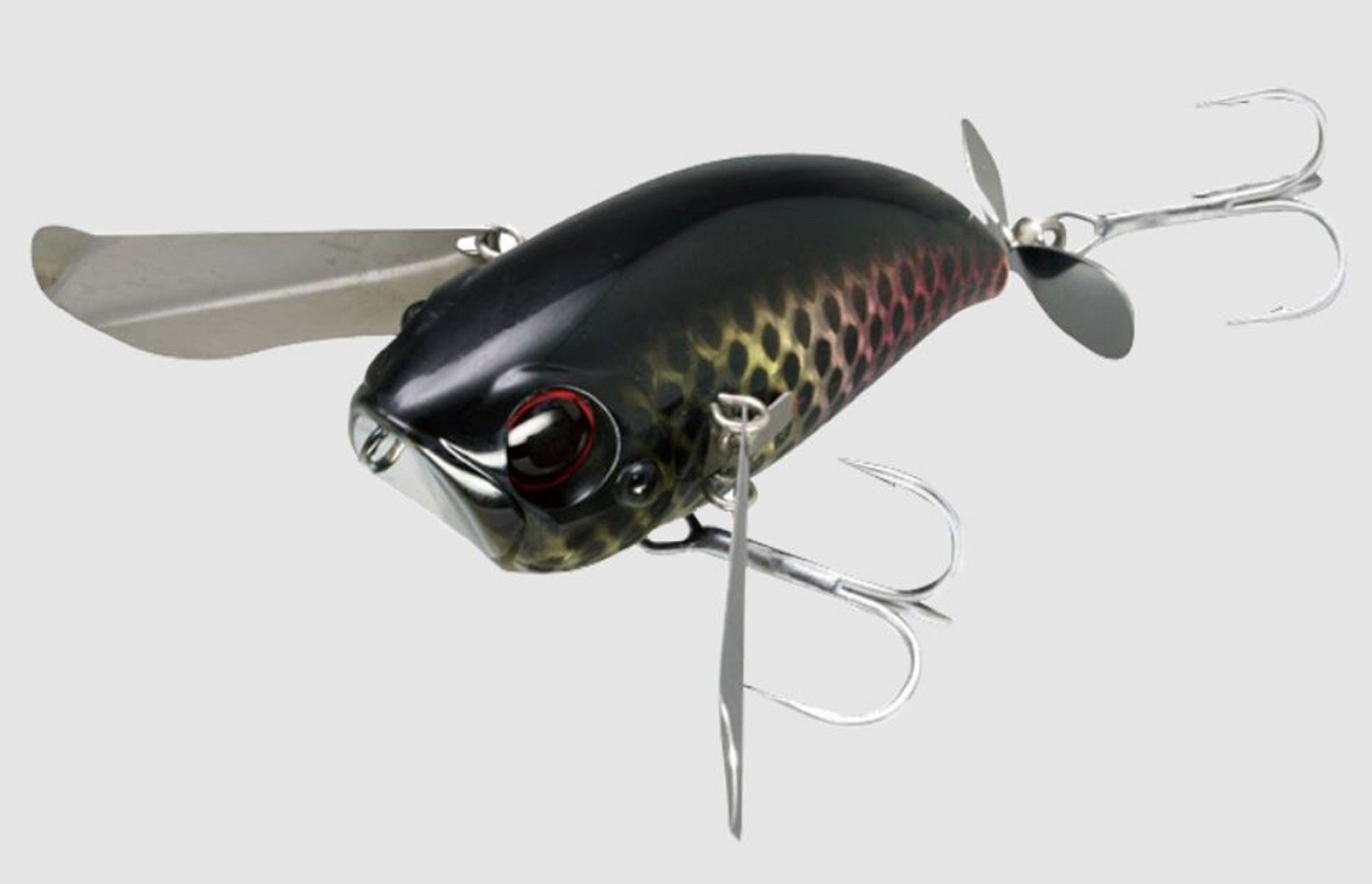 Lure Haven Singapore