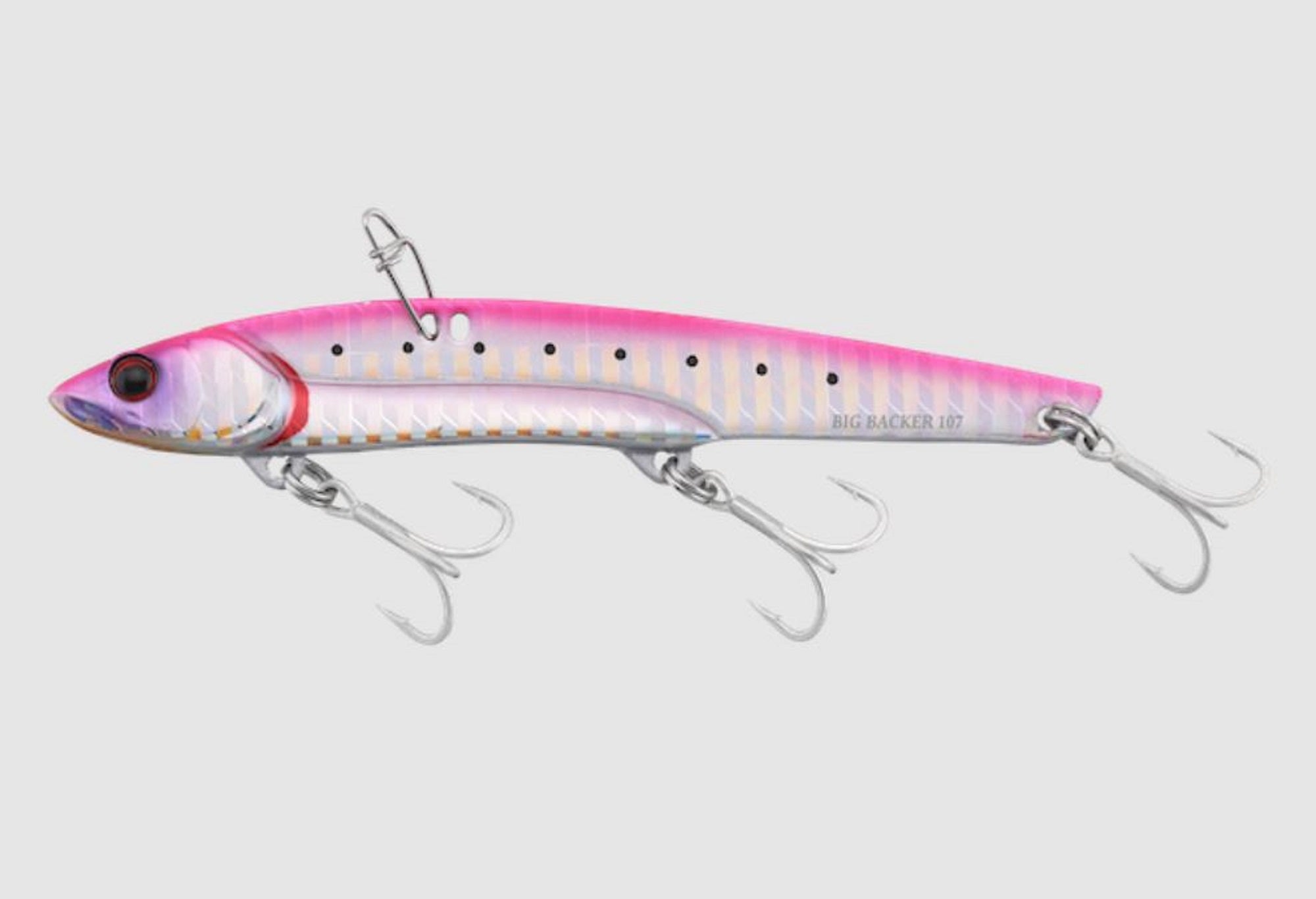 Lure Haven Singapore