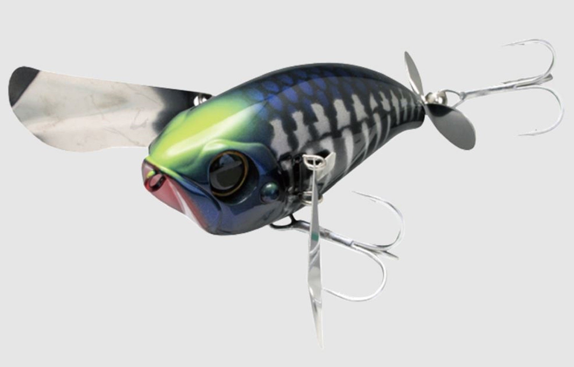Lure Haven Singapore