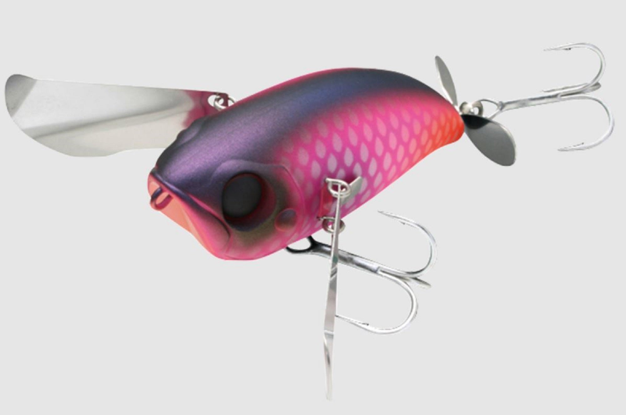 Lure Haven Singapore