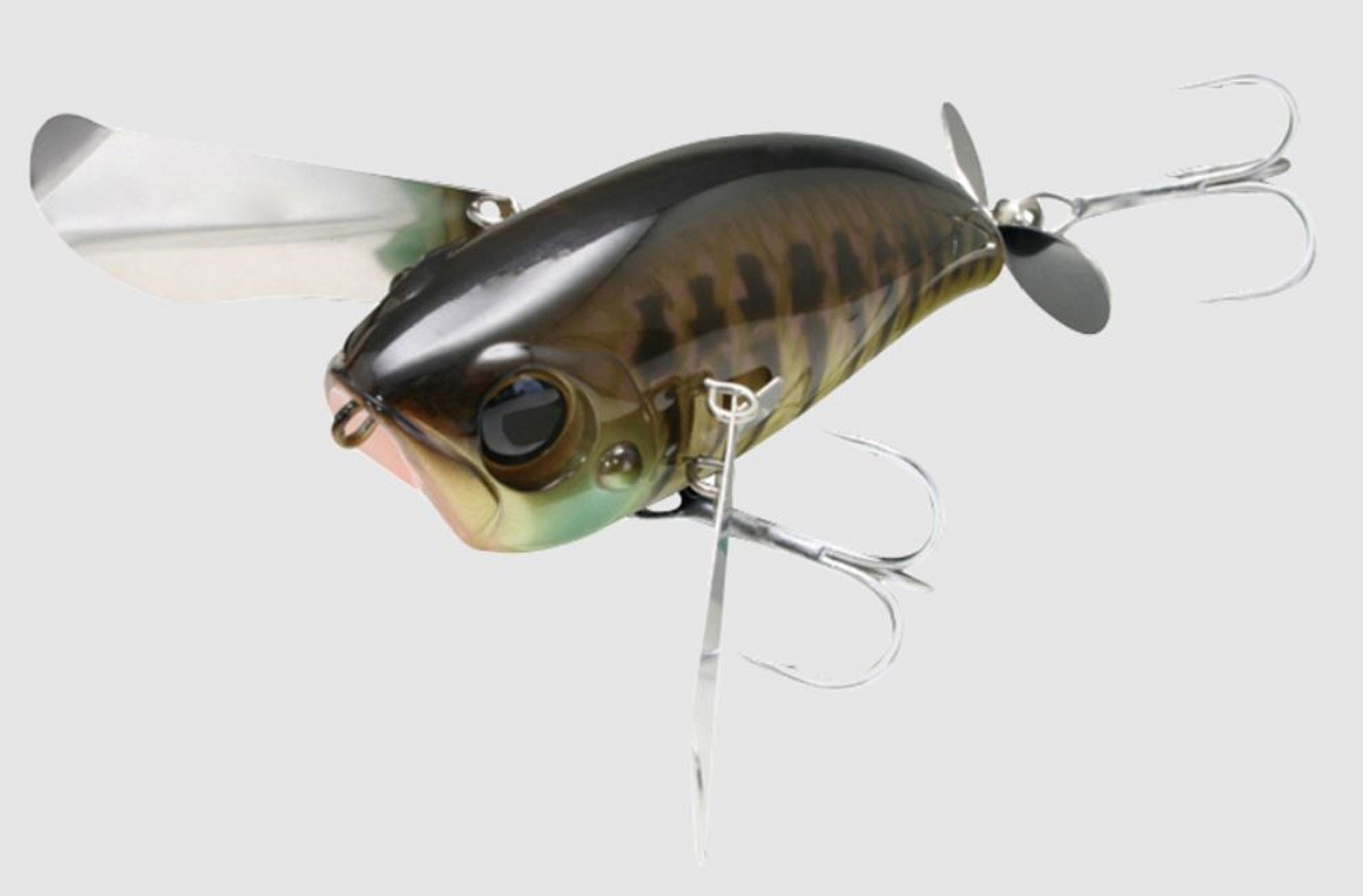 Lure Haven Singapore
