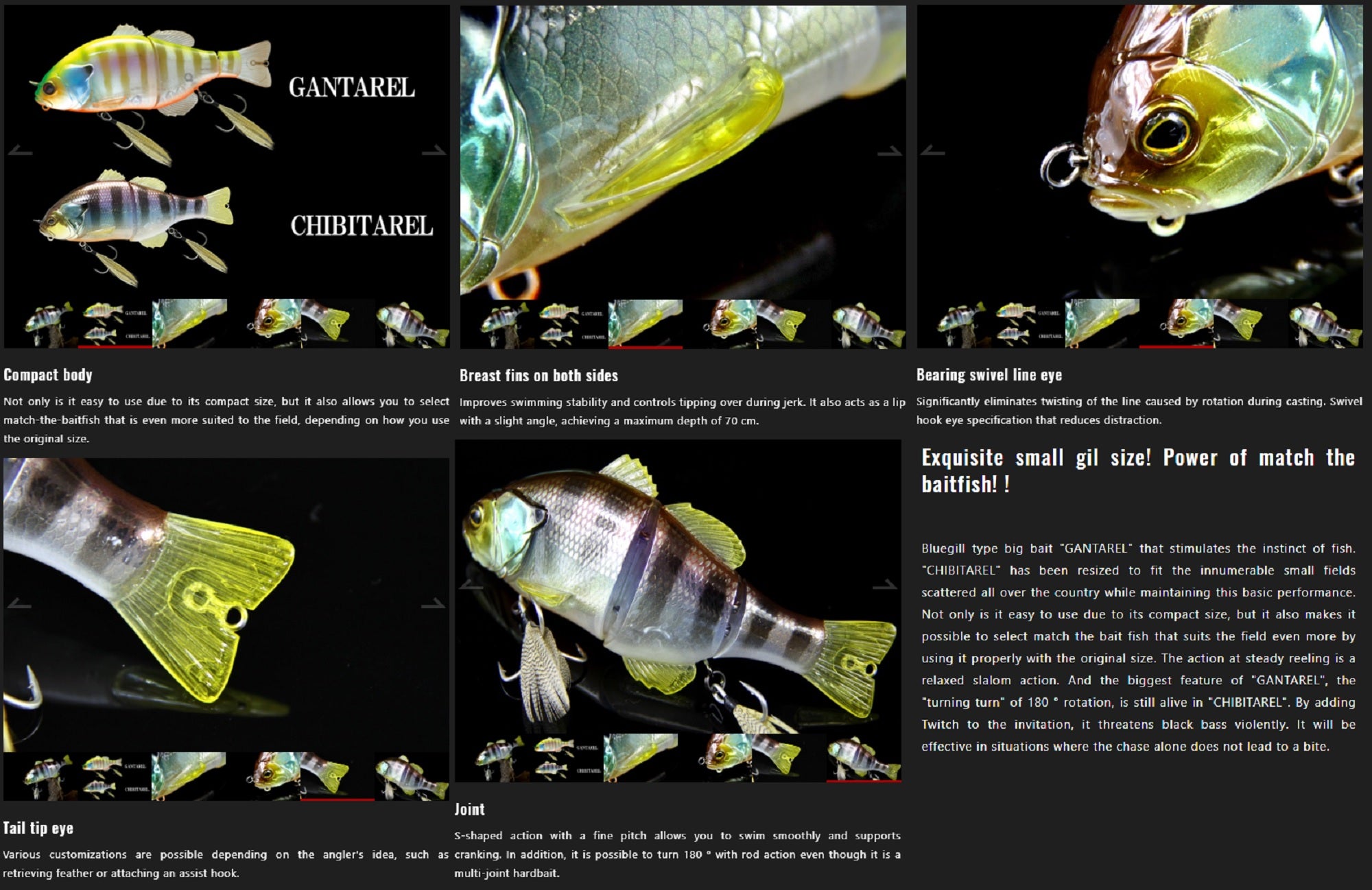 Lure Haven Singapore
