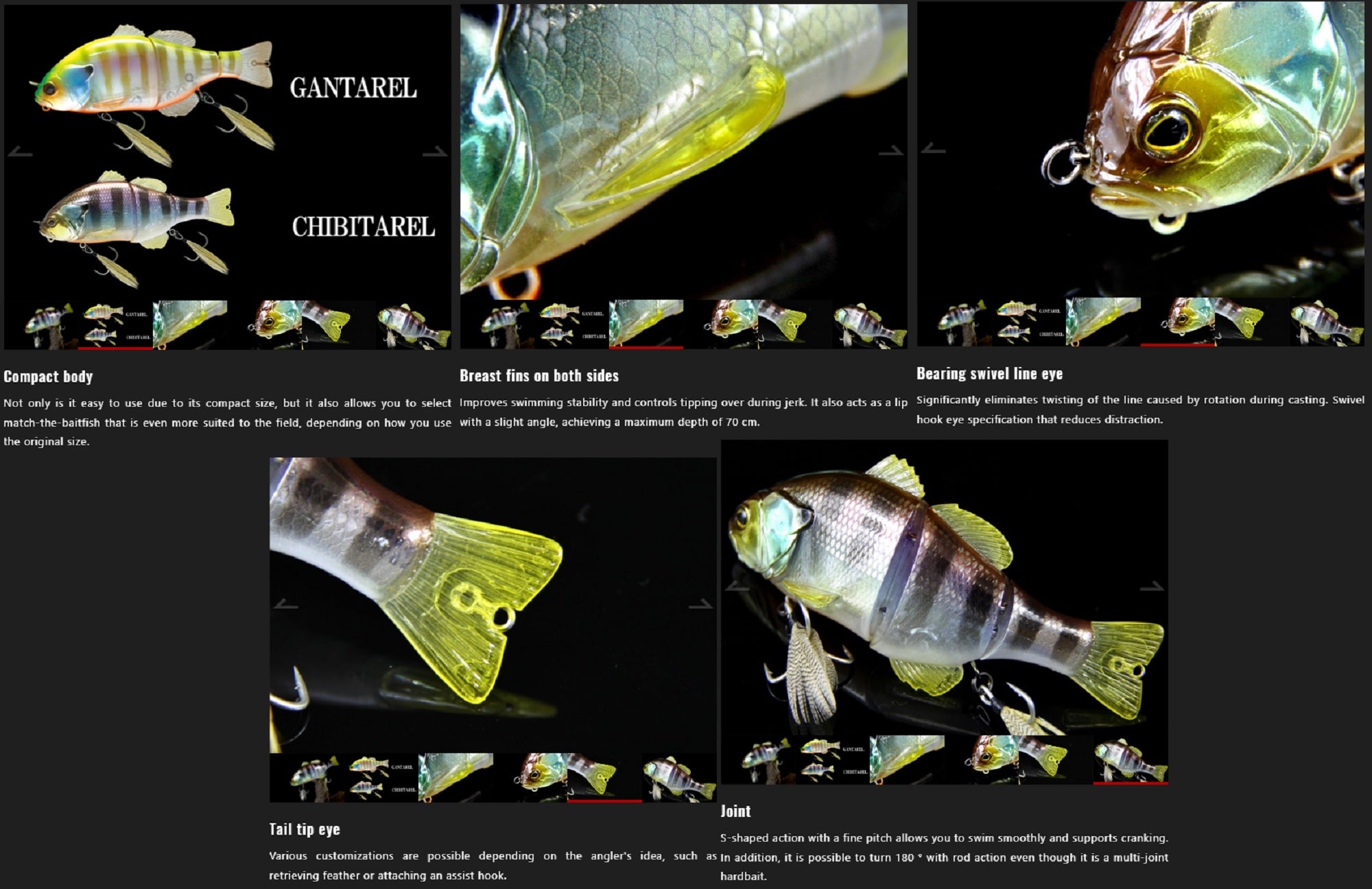 Lure Haven Singapore