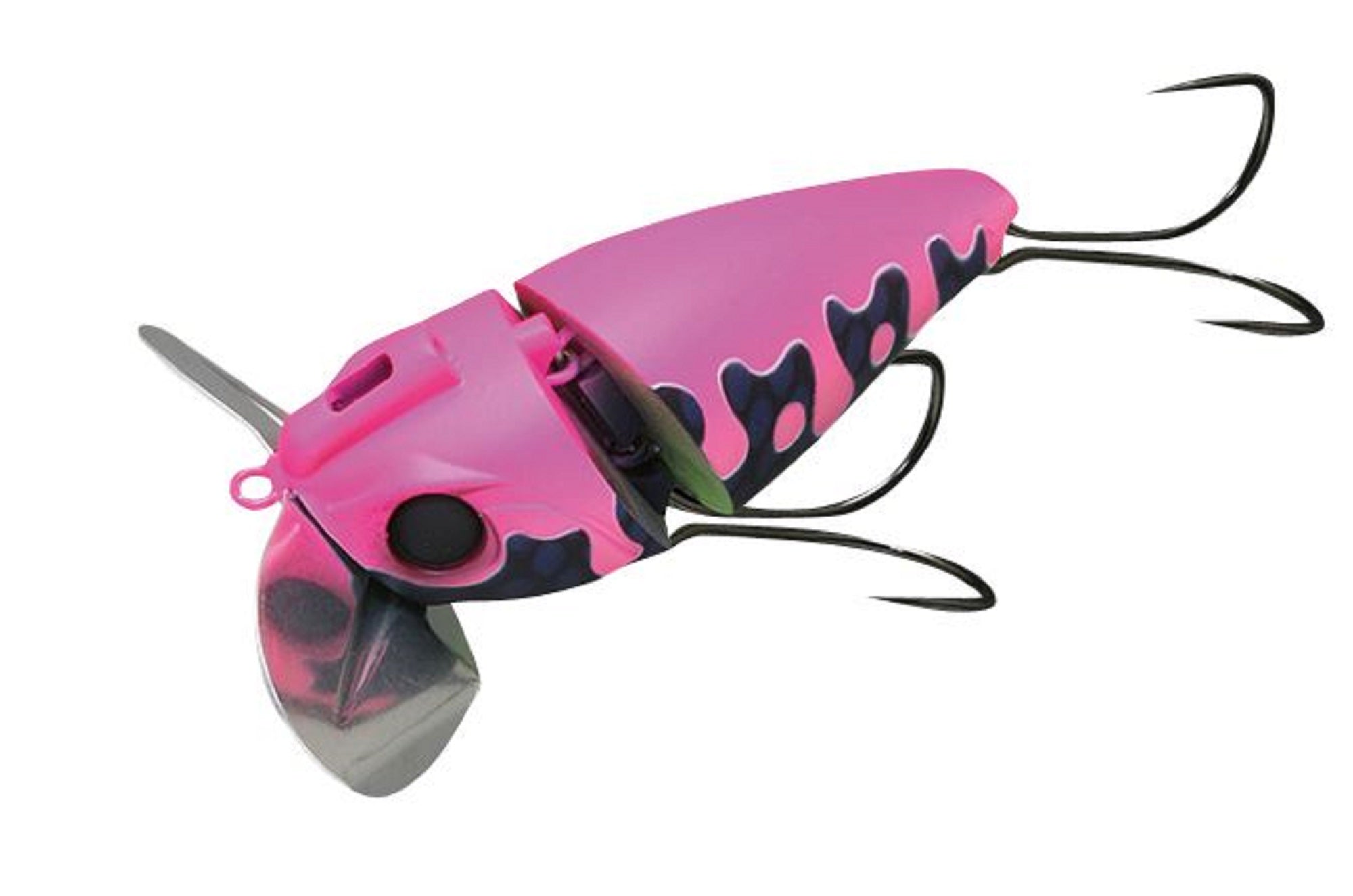 Lure Haven Singapore