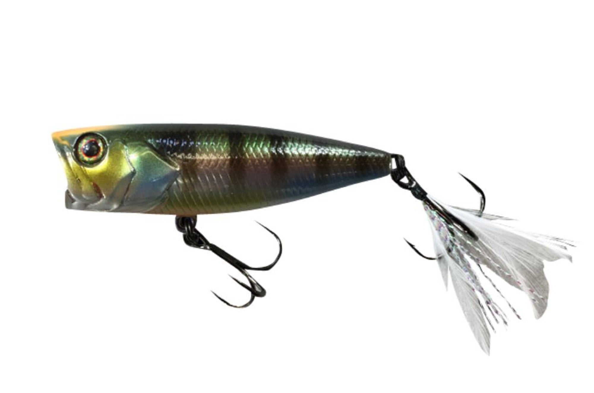 Lure Haven Singapore
