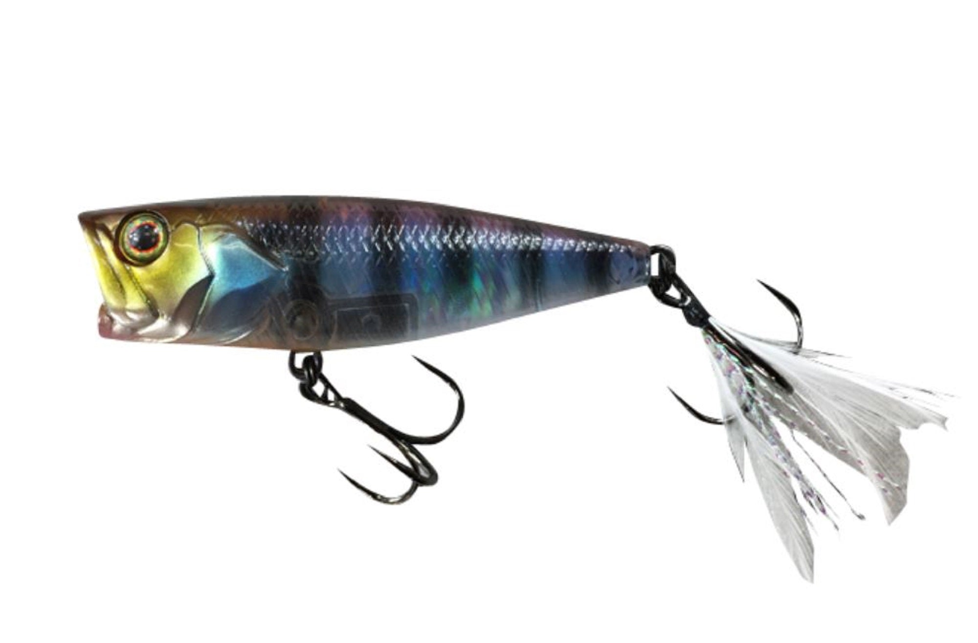 Lure Haven Singapore