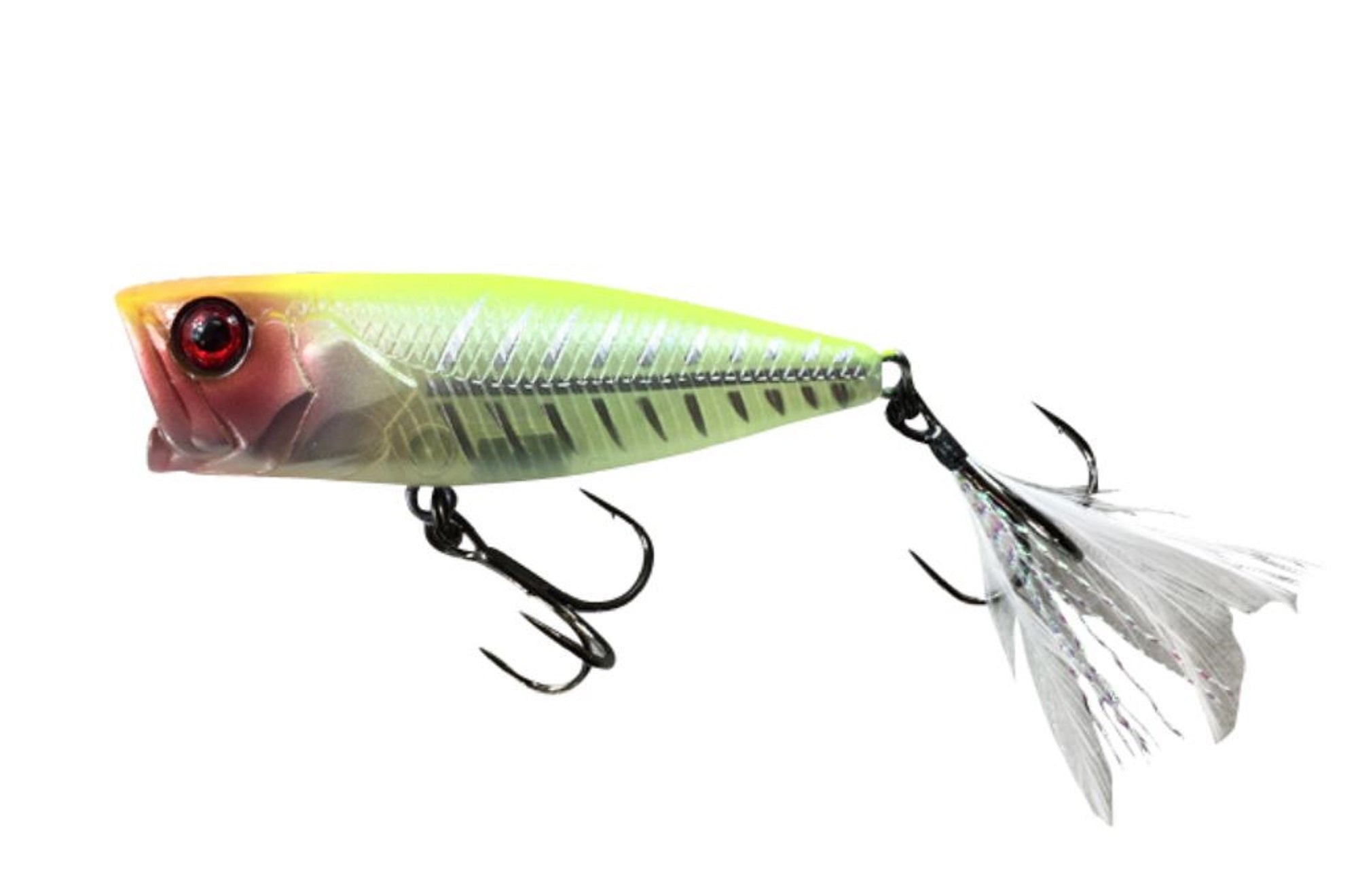 Lure Haven Singapore