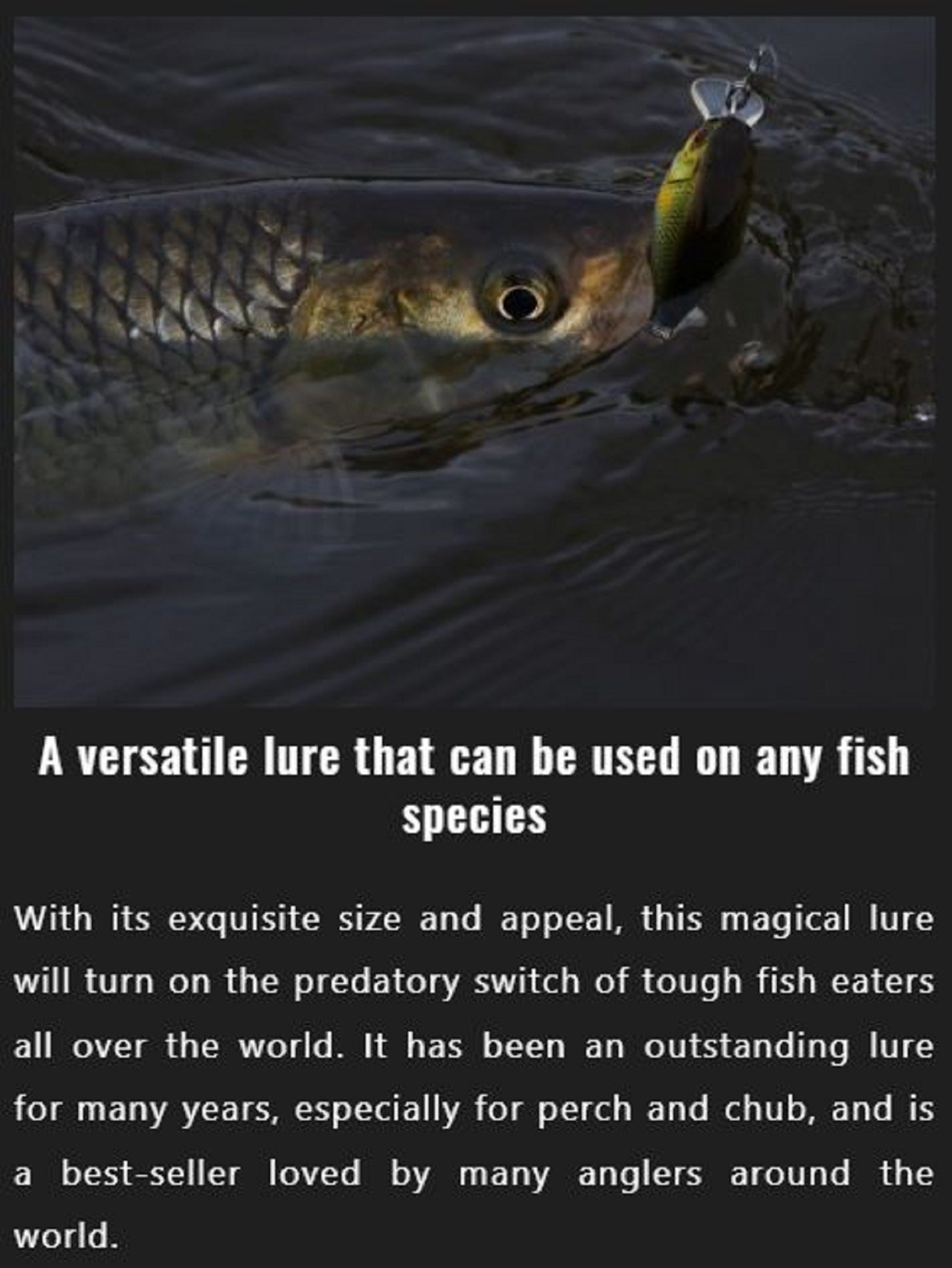 Jackall DD Chubby 38F Floating Lure Tropical Mat Tiger (5151)