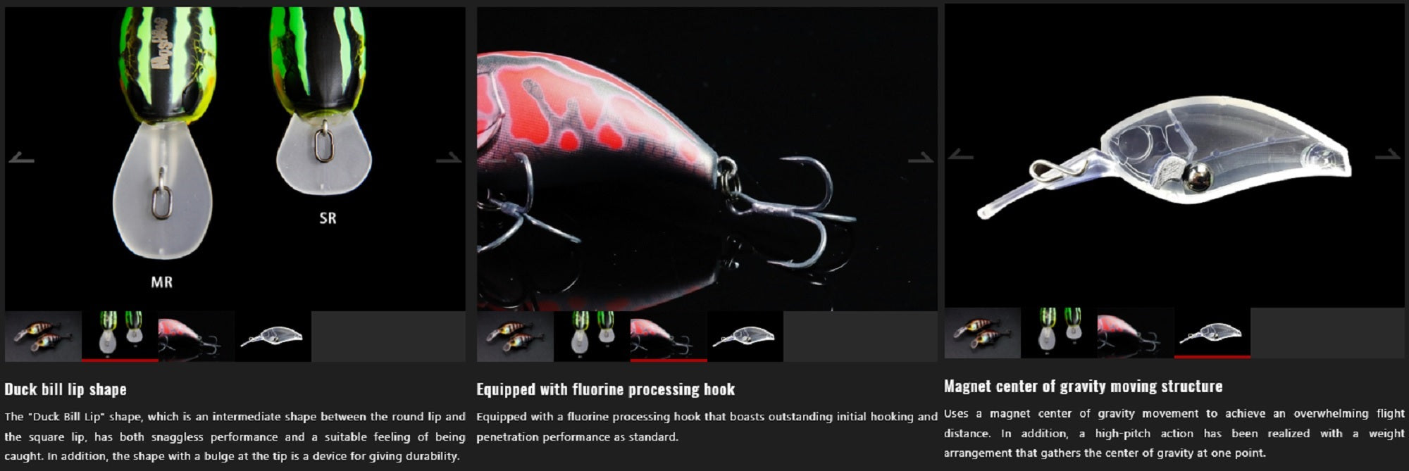 Lure Haven Singapore