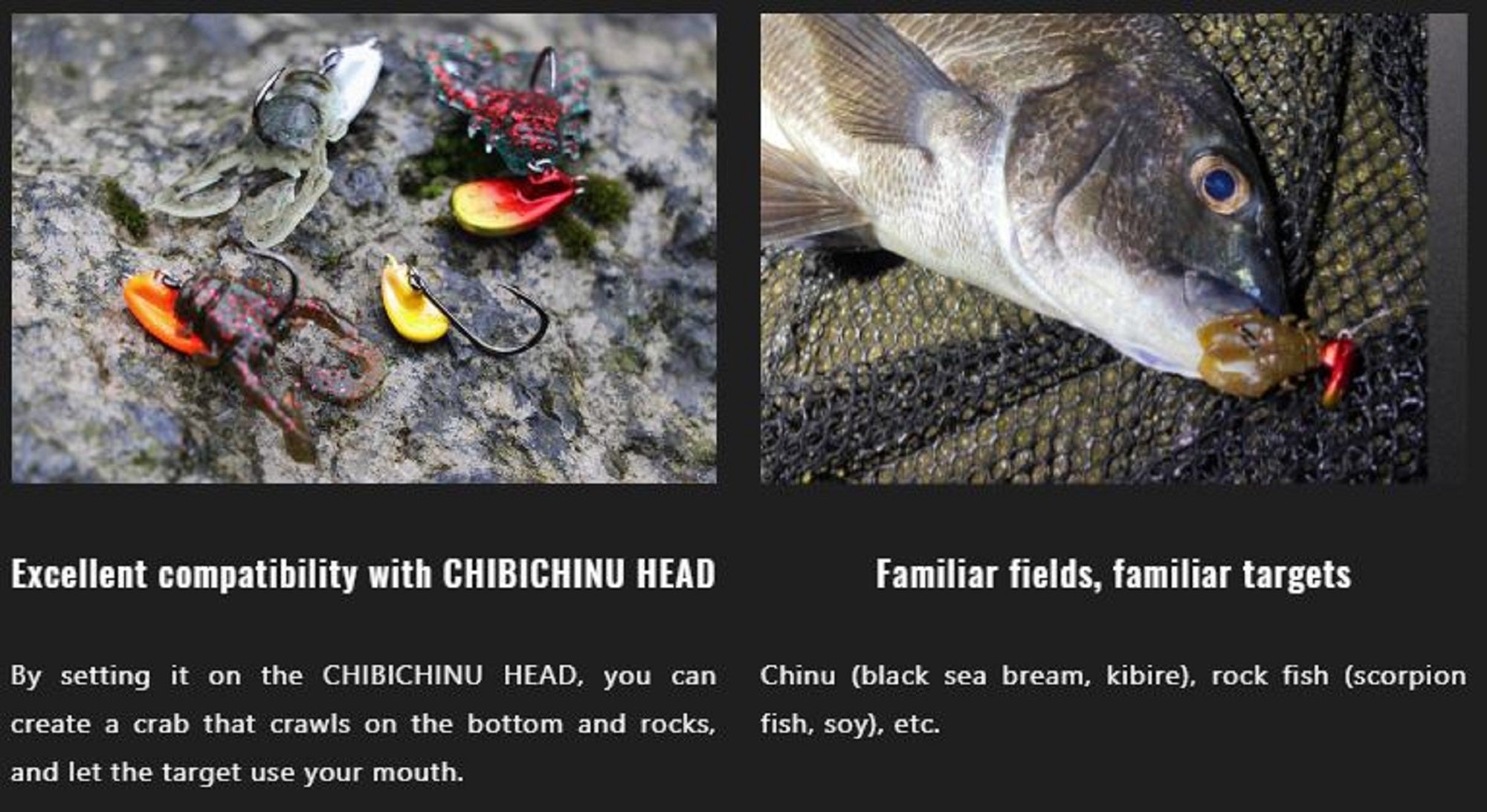 Lure Haven Singapore