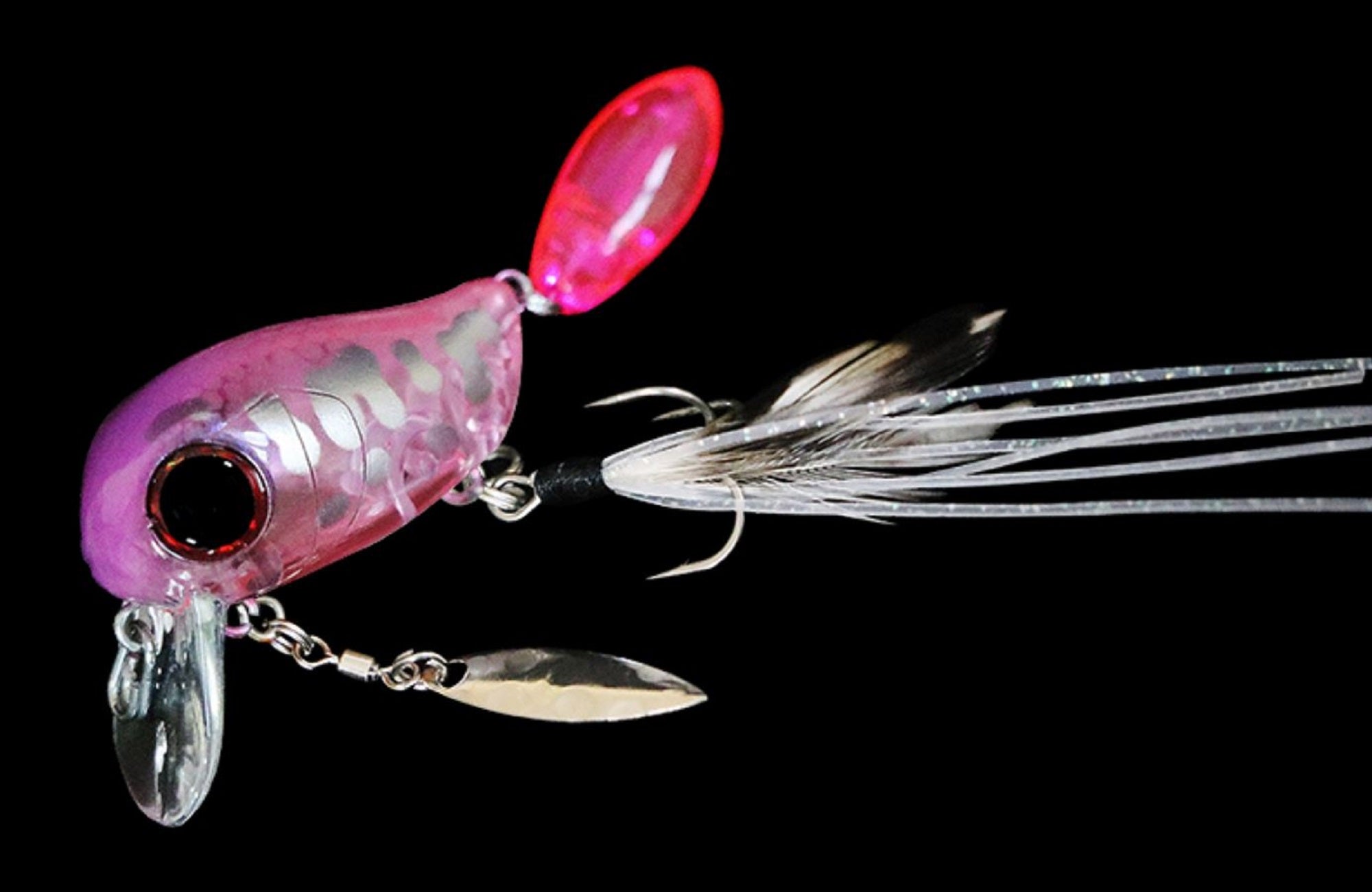 Lure Haven Singapore