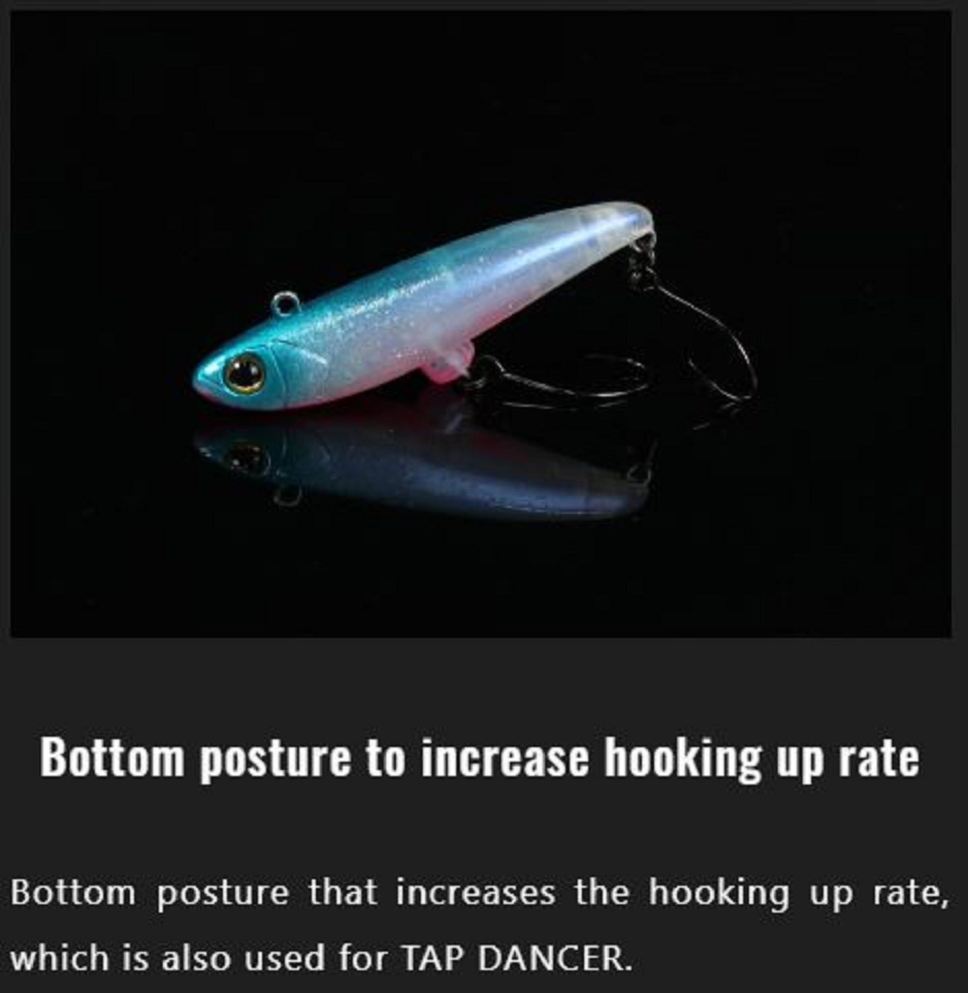 Lure Haven Singapore