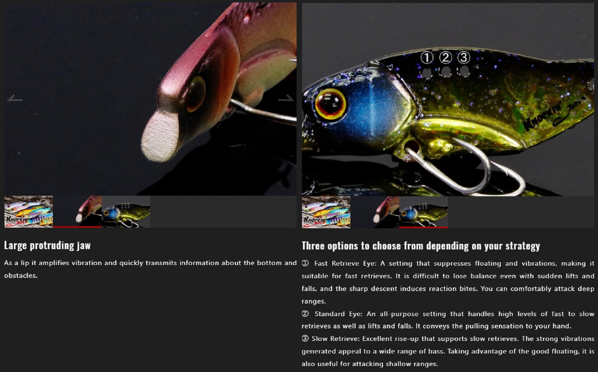 Lure Haven Singapore