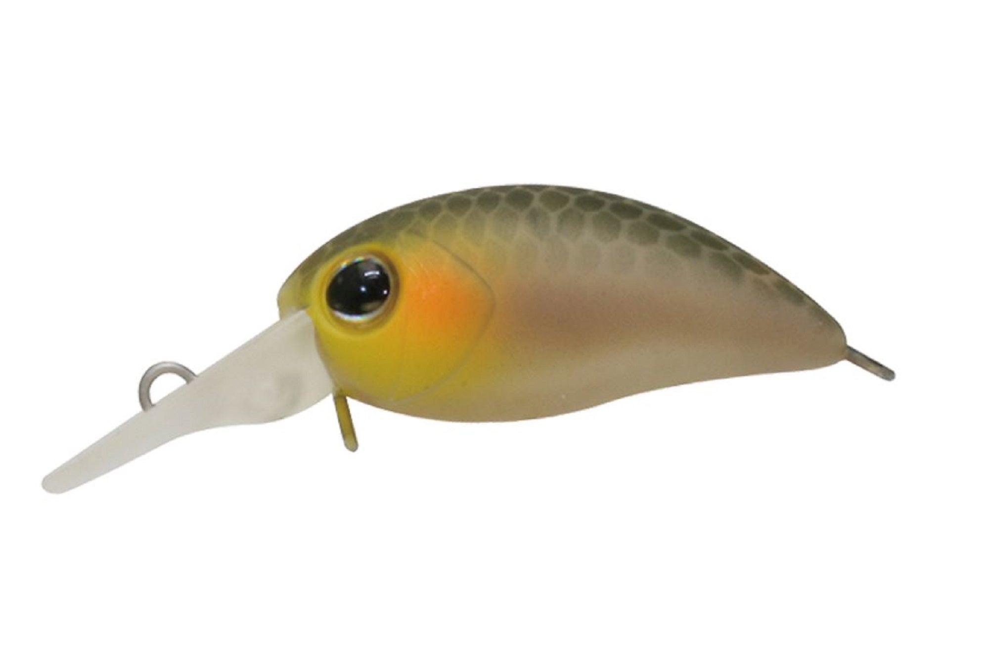 Jackall Timon Chibi Panicra SR 25 mm Floating Lure Bizin (1318)
