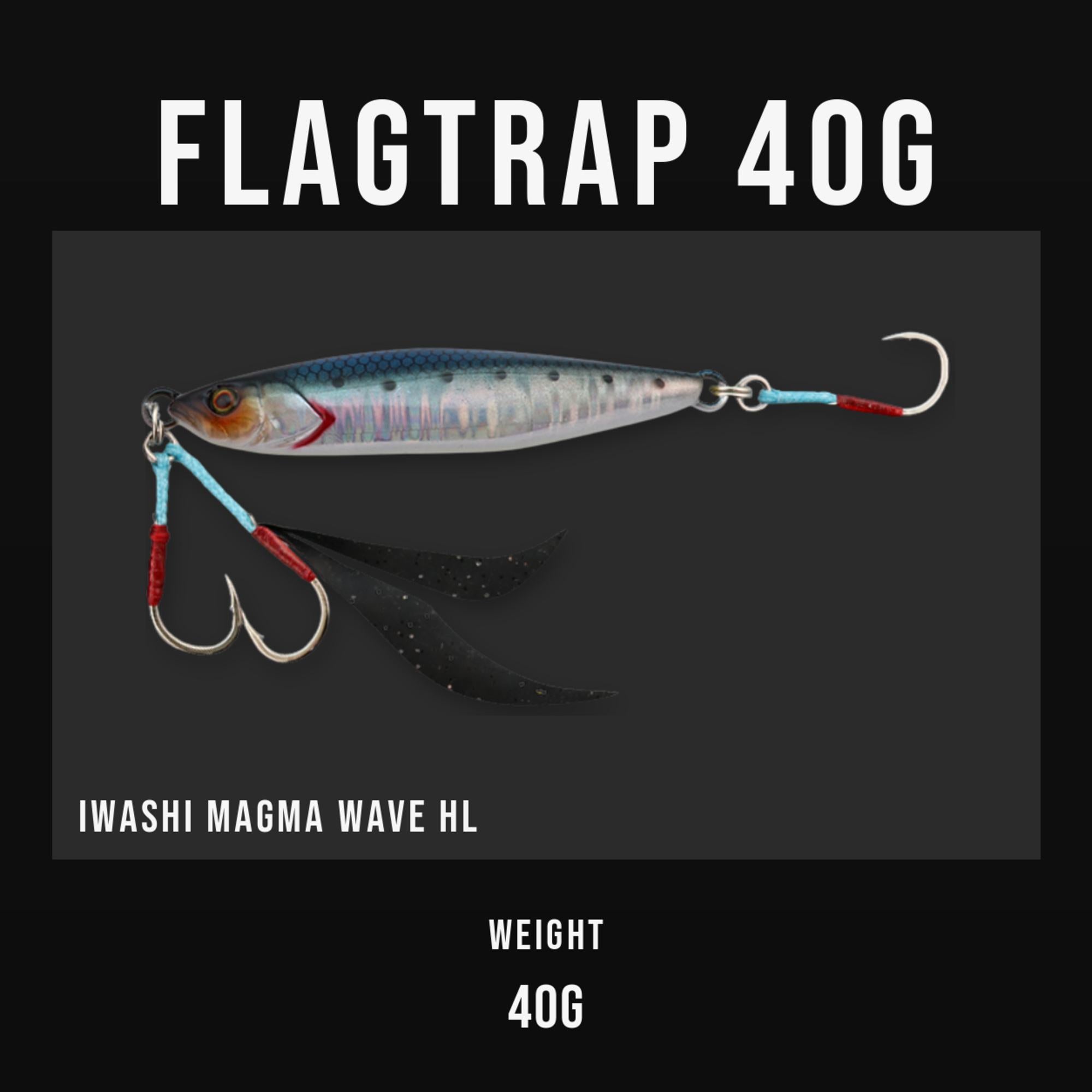 Jackall Metal Jig Flag Trap 40 grams Iwashi Magma Wave HL (3080)