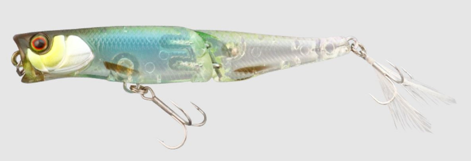 Lure Haven Singapore