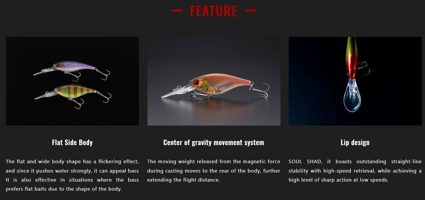 Lure Haven Singapore