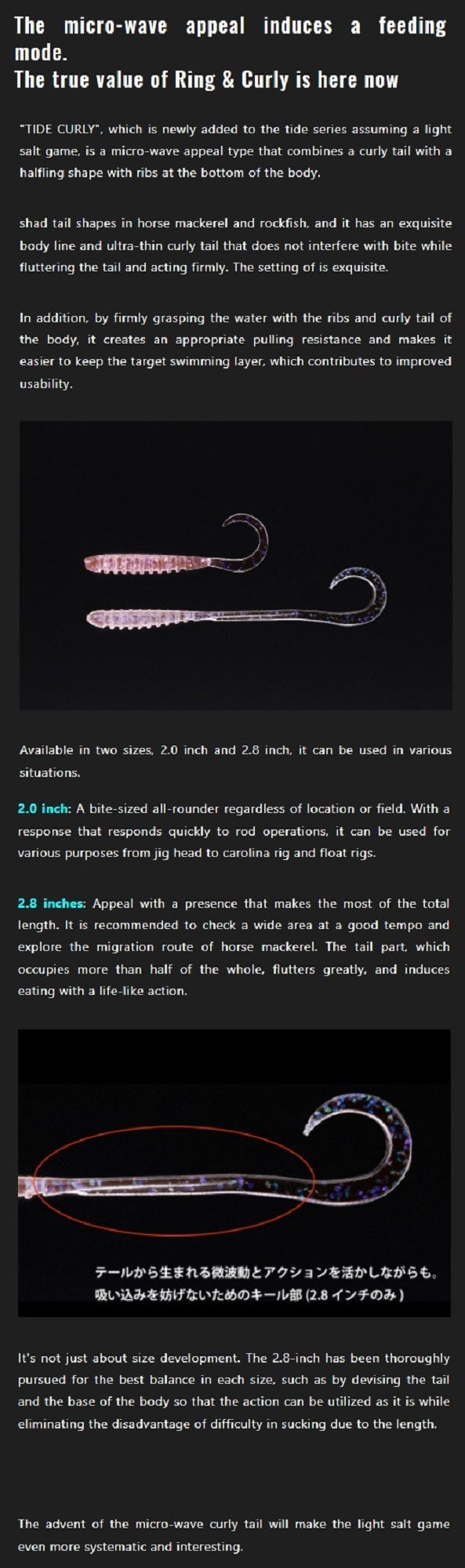 Lure Haven Singapore