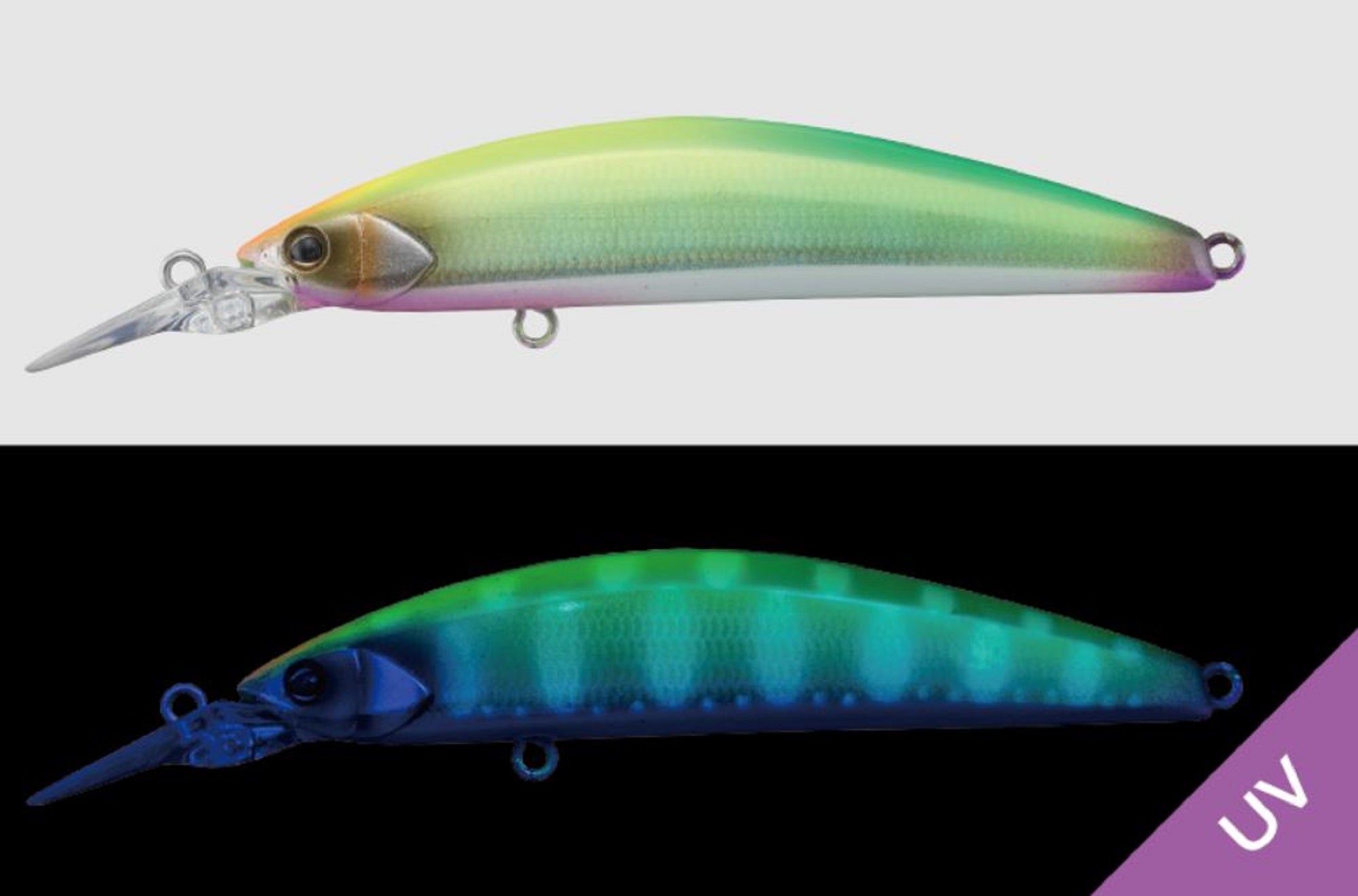 Lure Haven Singapore