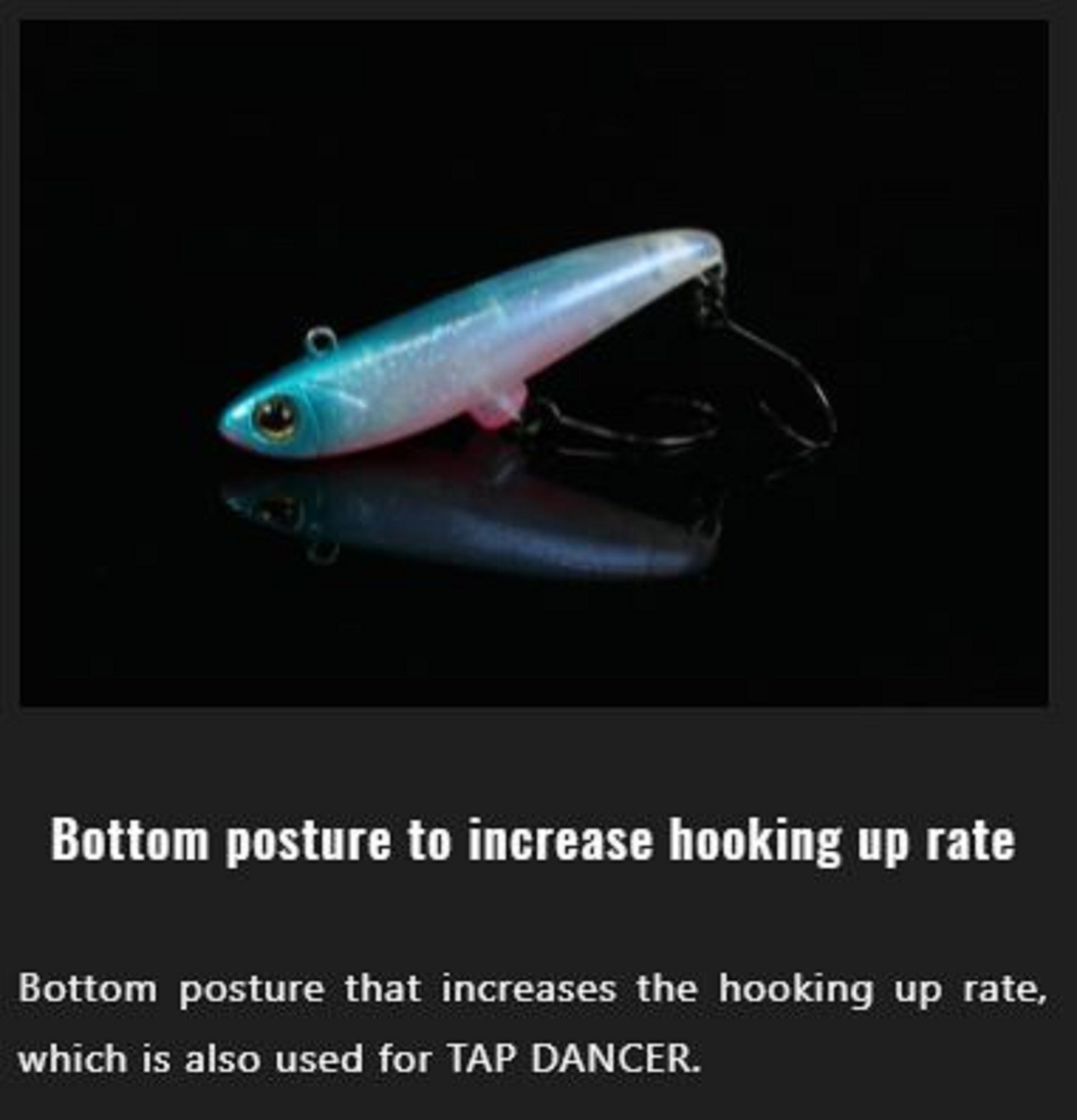 Lure Haven Singapore