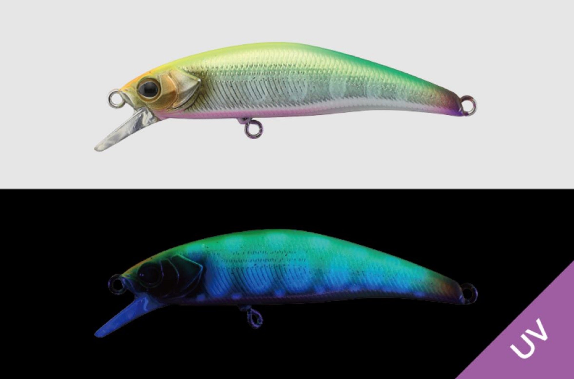 Lure Haven Singapore