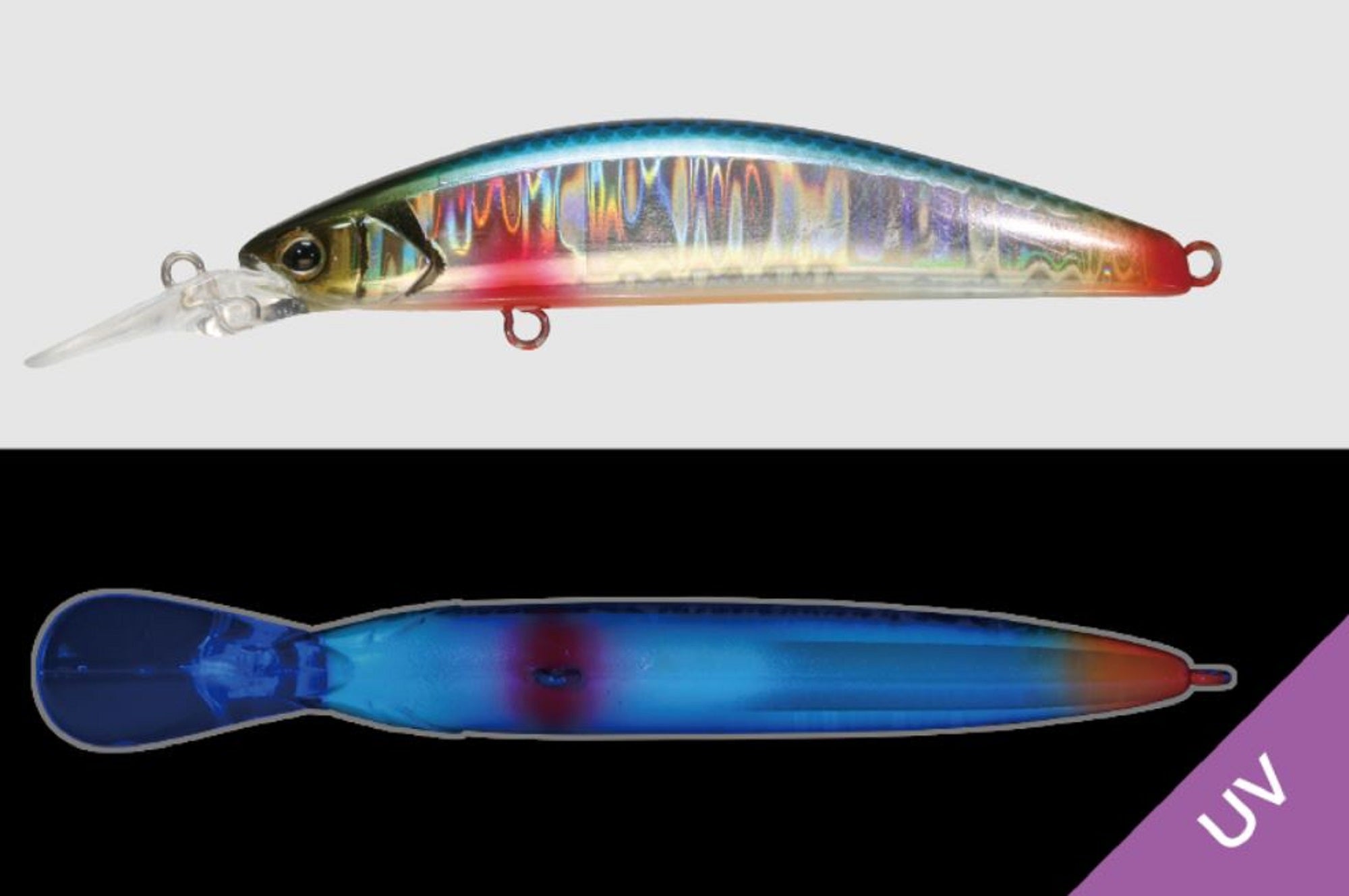 Lure Haven Singapore