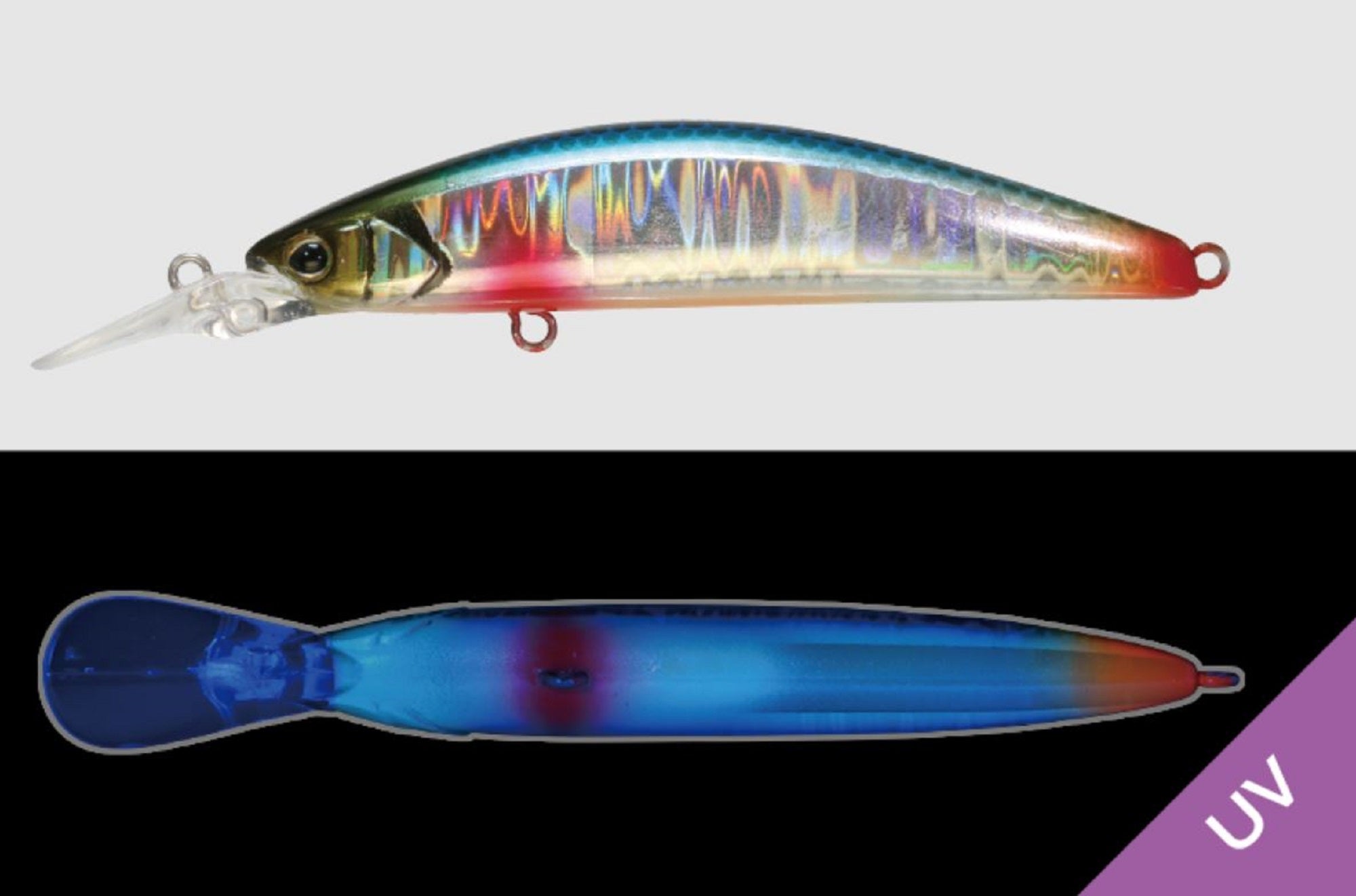 Lure Haven Singapore