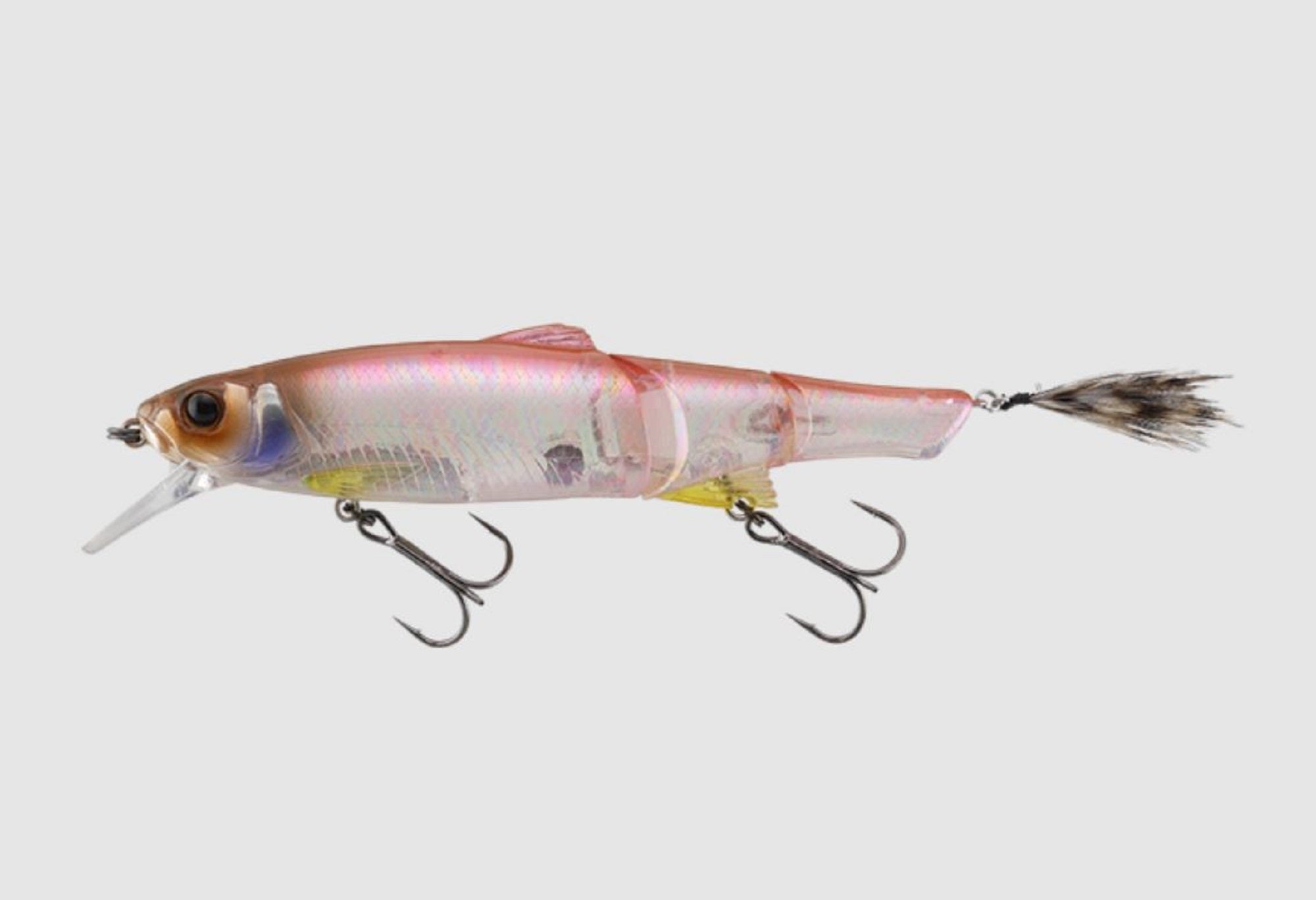 Lure Haven Singapore