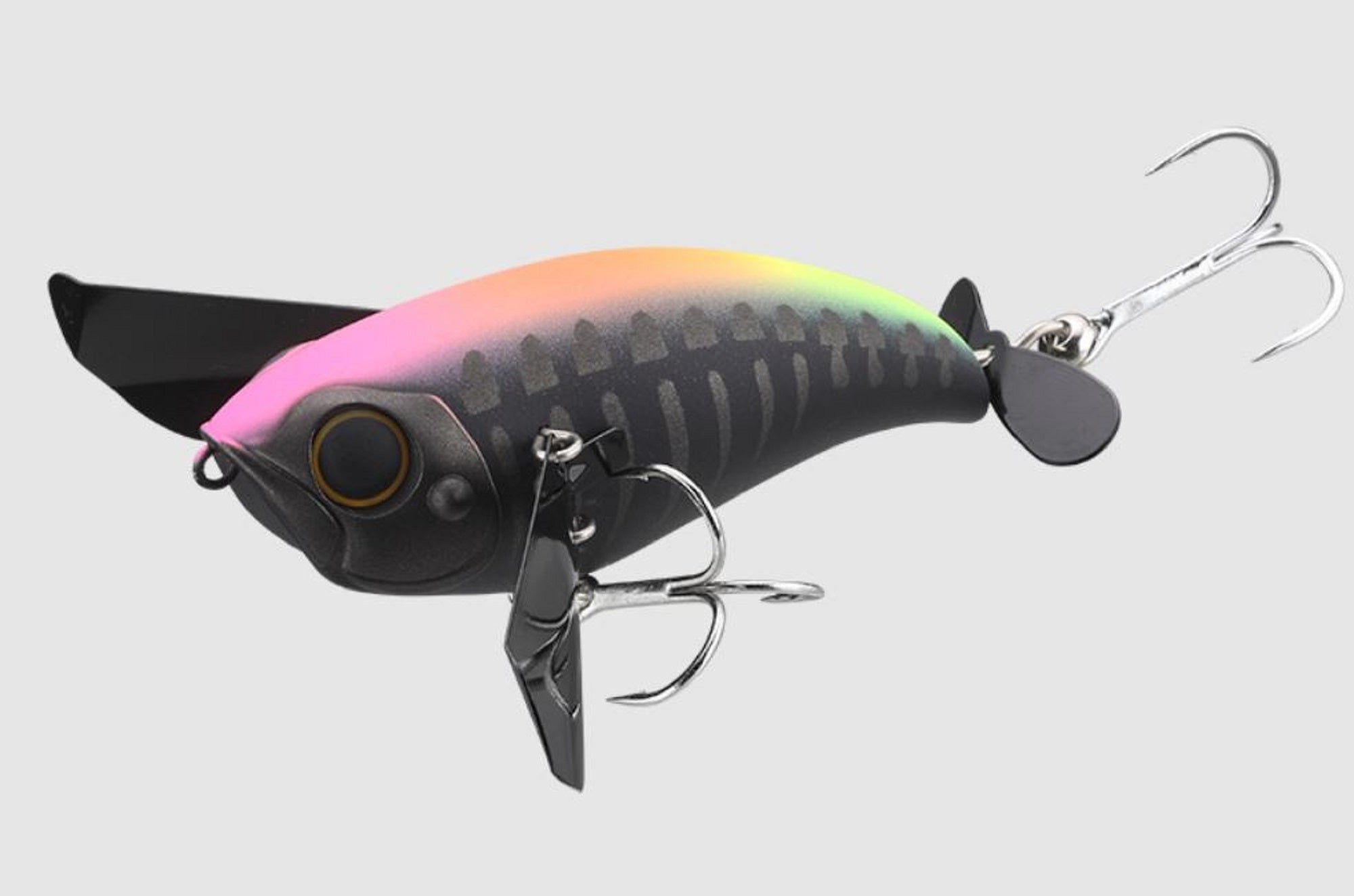 Lure Haven Singapore